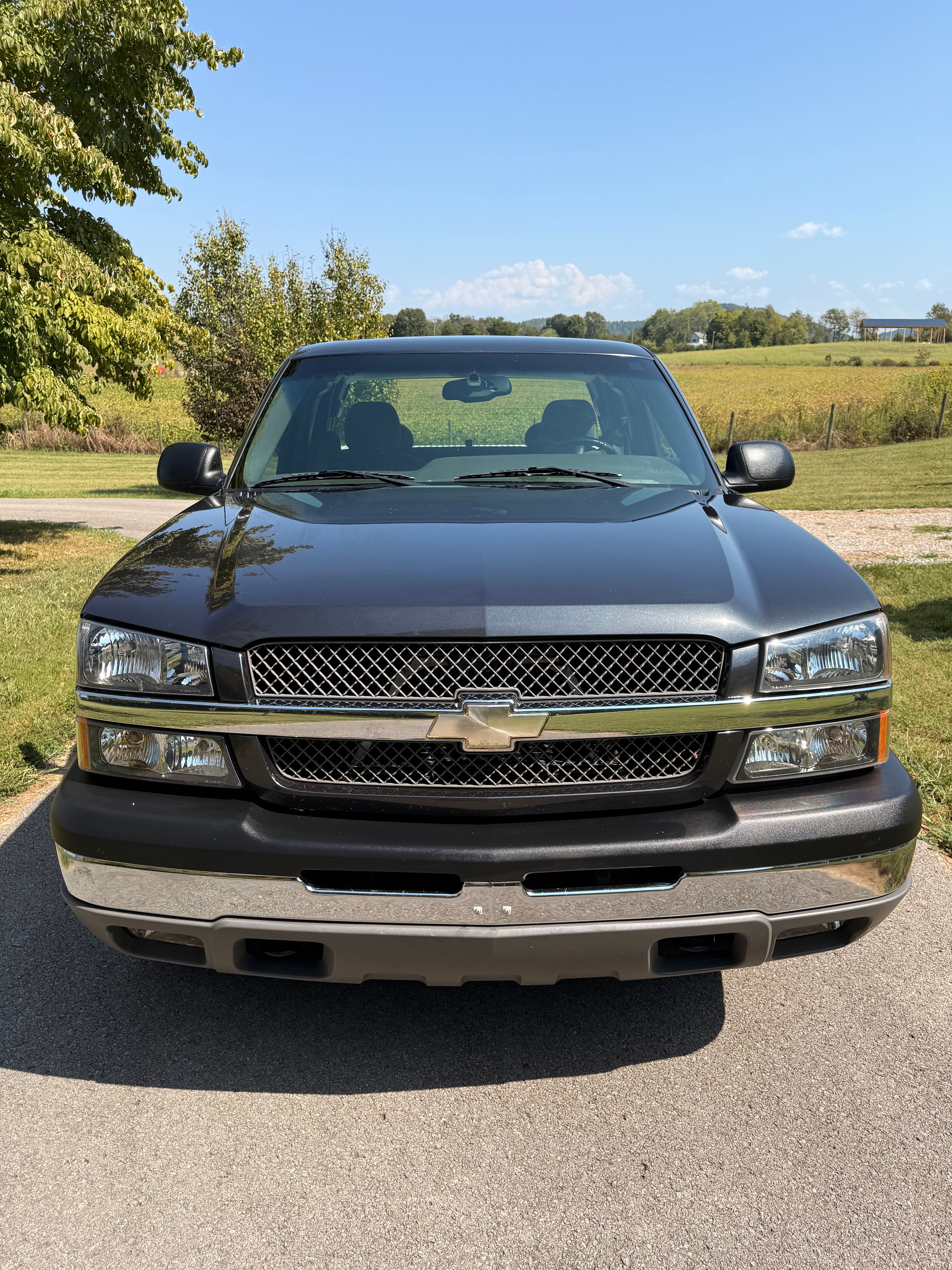 Used 2003 Chevrolet Silverado 1500 LS w/ Off-Road Package AWD/4WD image 4