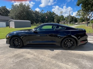Used 2019 Ford Mustang GT w/ Equipment Group 301A RWD image 1
