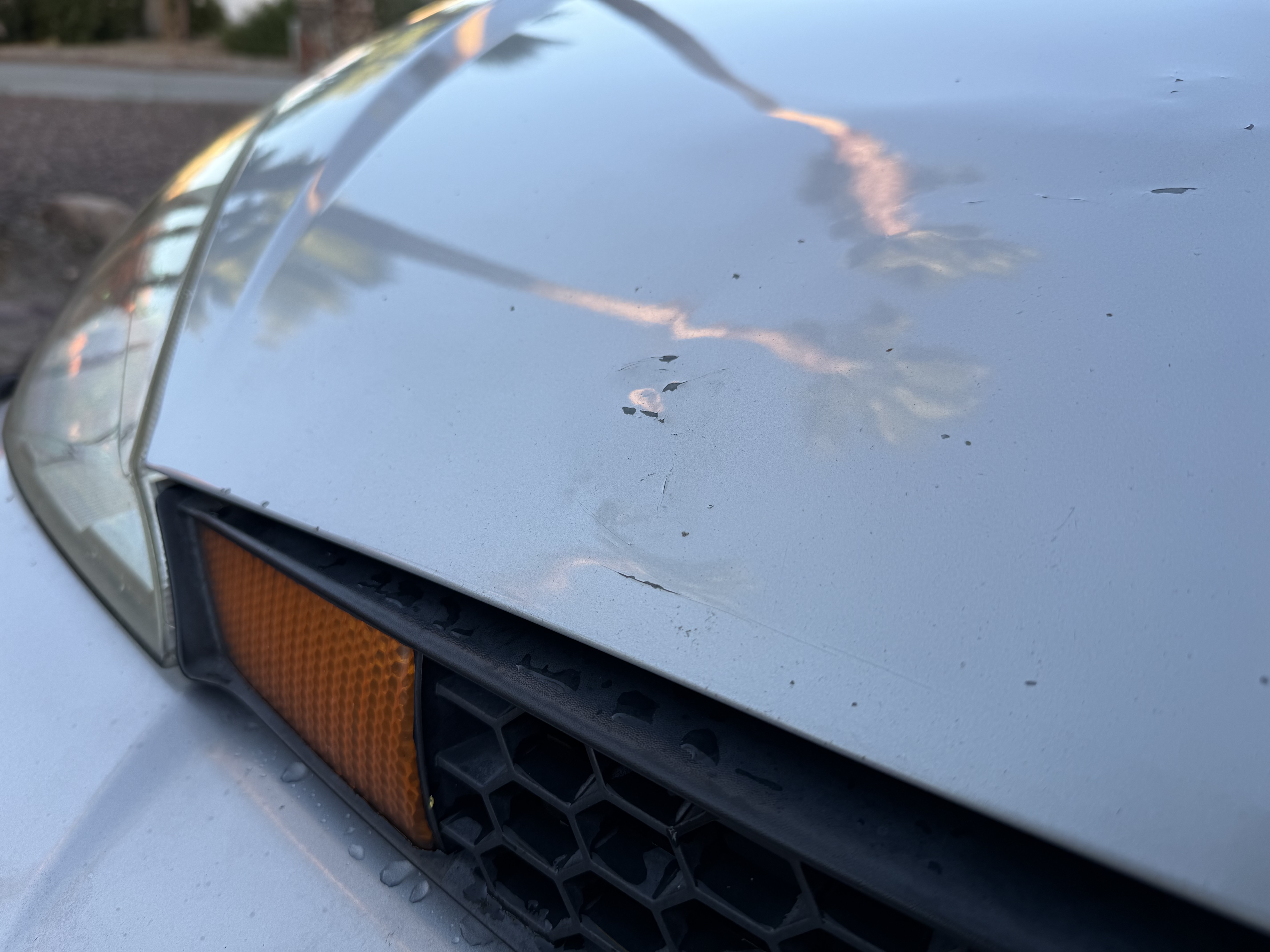 Used 2004 Ford Focus SVT FWD image 11