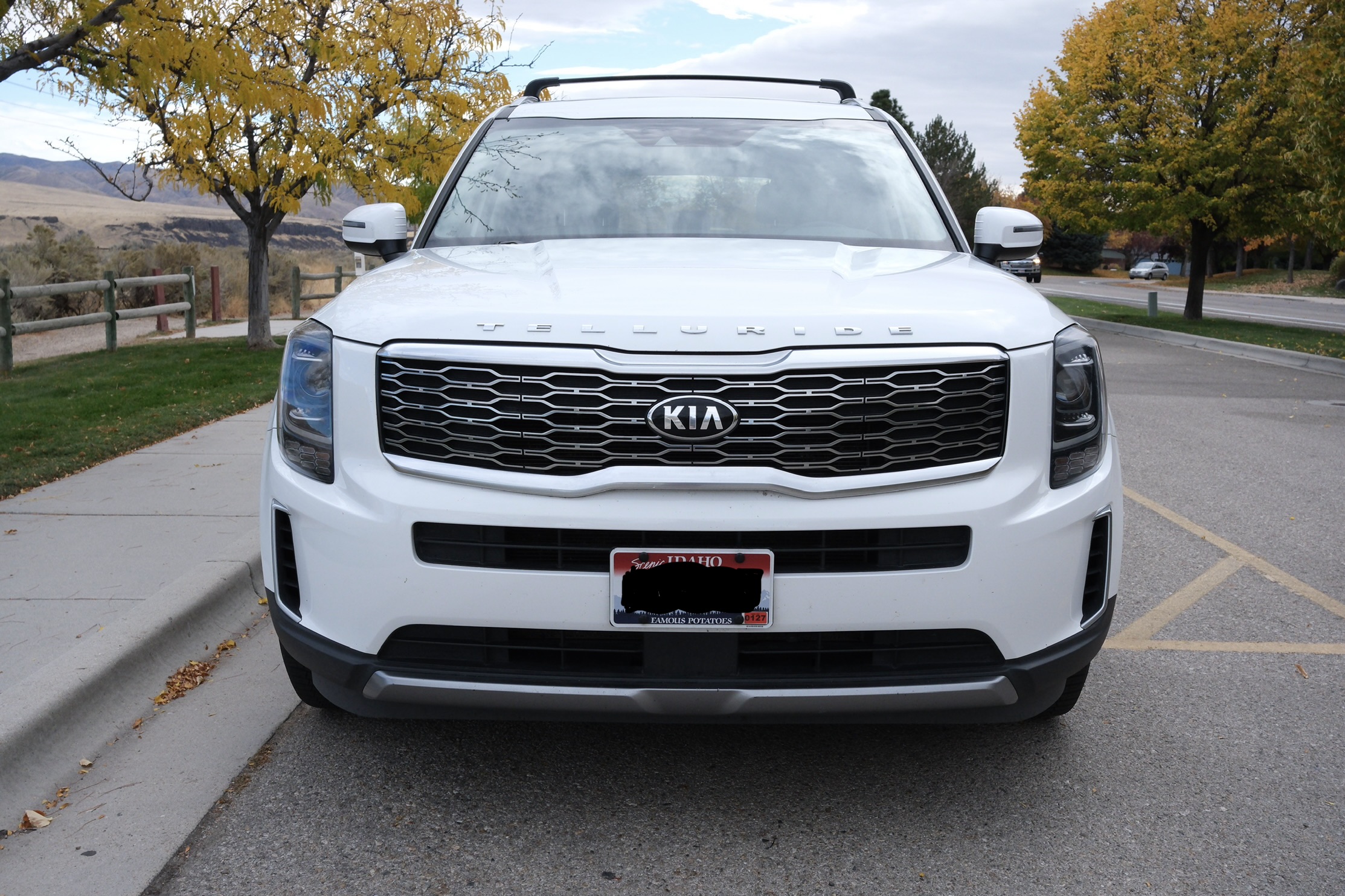 Used 2020 Kia Telluride EX FWD image 2
