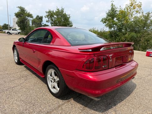 Used 1998 Ford Mustang Cobra RWD image 4