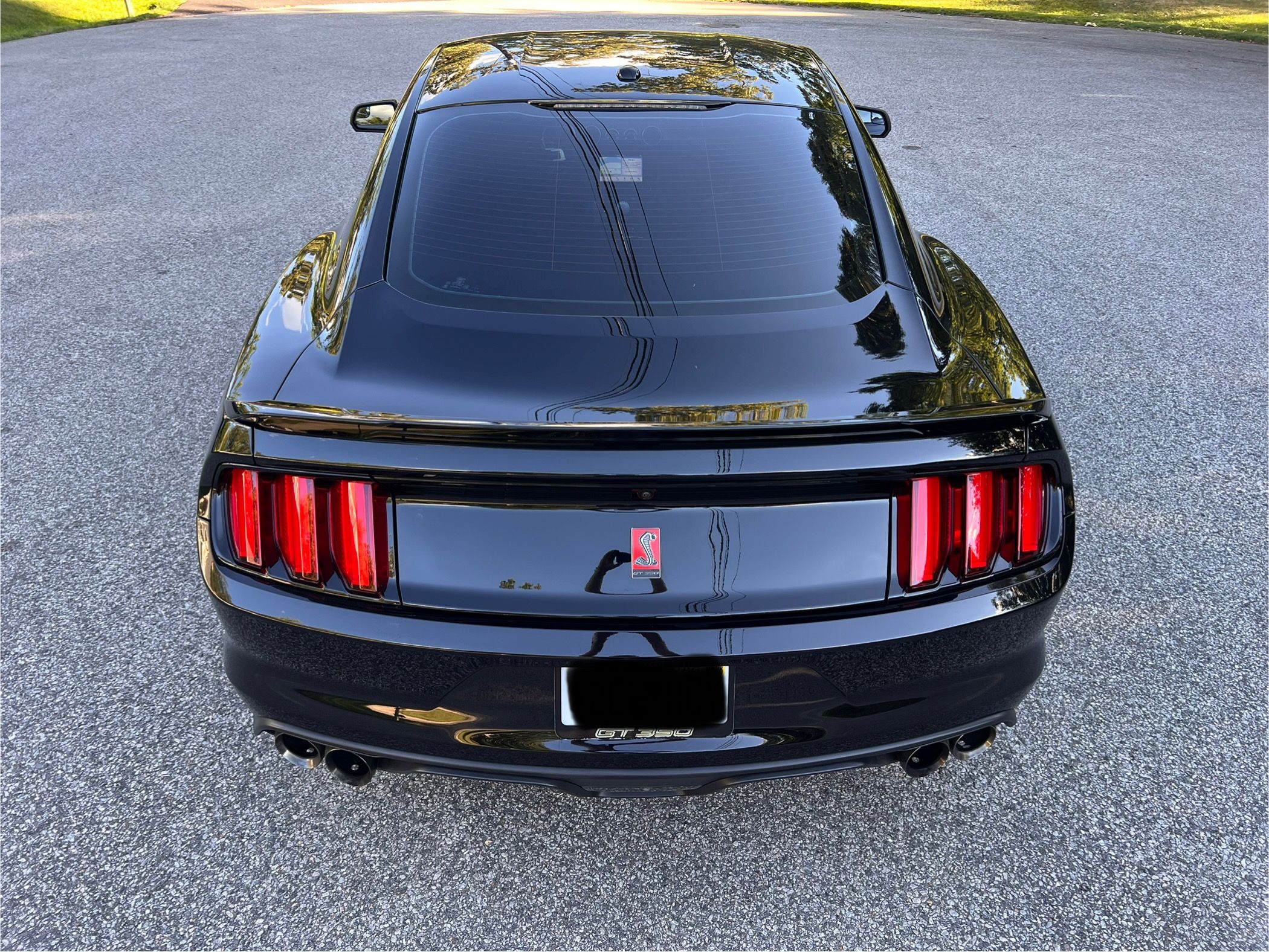 Used 2018 Ford Mustang Shelby GT350 w/ Electronics Package RWD image 9