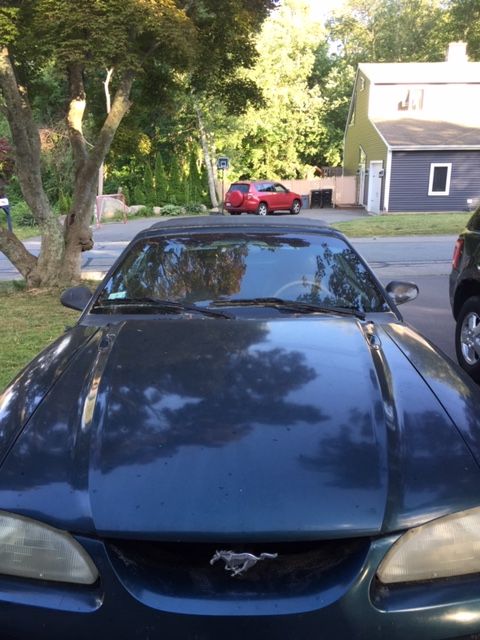 Used 1995 Ford Mustang GT RWD image 1