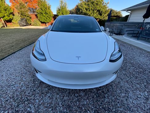 Used 2019 Tesla Model 3 Standard Range Plus image 10