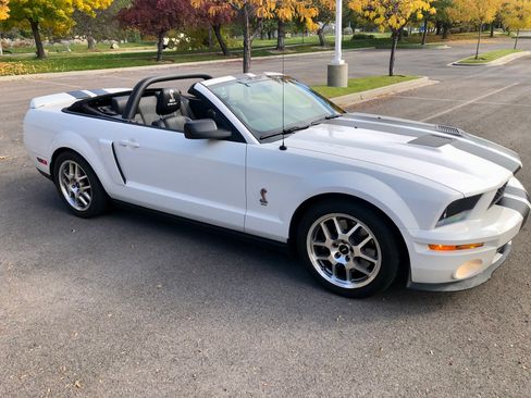 Used 2008 Ford Mustang Shelby GT500 image 1