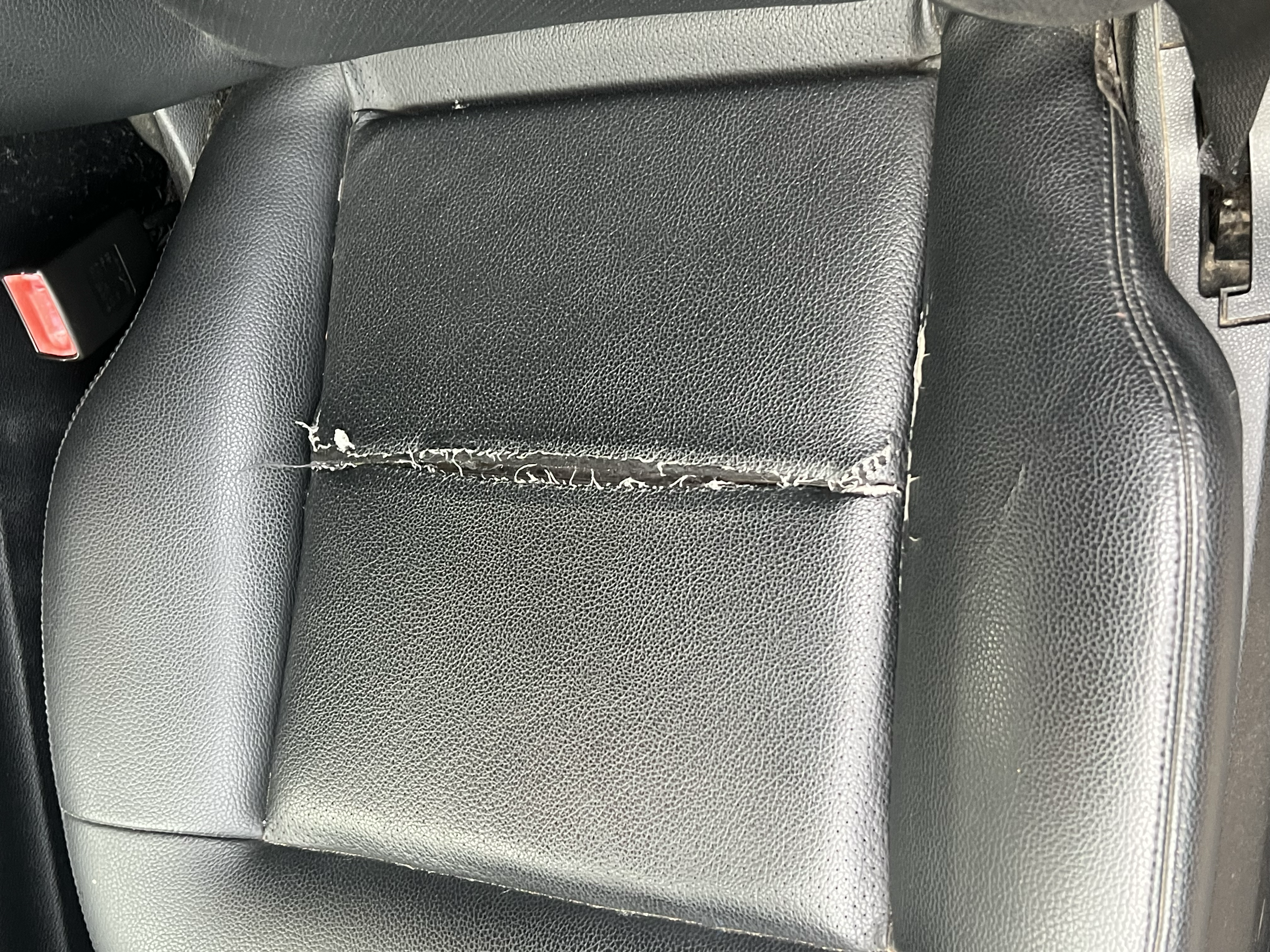 Used 2010 Mercedes-Benz E 350 Sedan image 12
