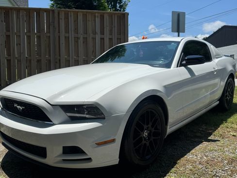 Used 2014 Ford Mustang Coupe w/ Equipment Group 102A image 12