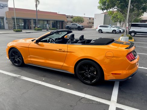 Used 2019 Ford Mustang Premium w/ Equipment Group 201A image 9