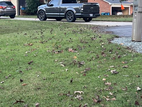 Used 2019 Ford F150 XL w/ Equipment Group 101A Mid image 8