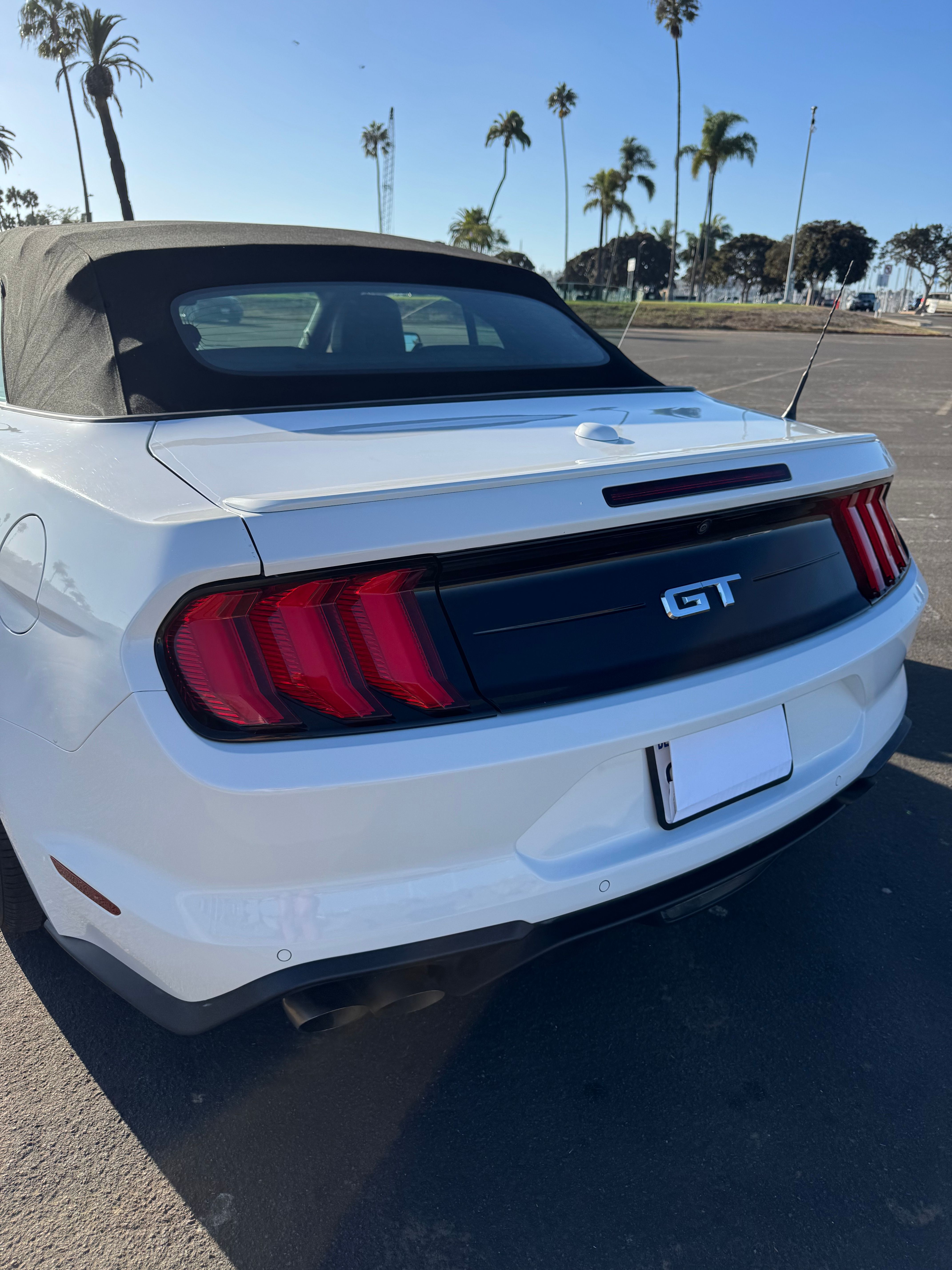 Used 2019 Ford Mustang GT Premium RWD image 12