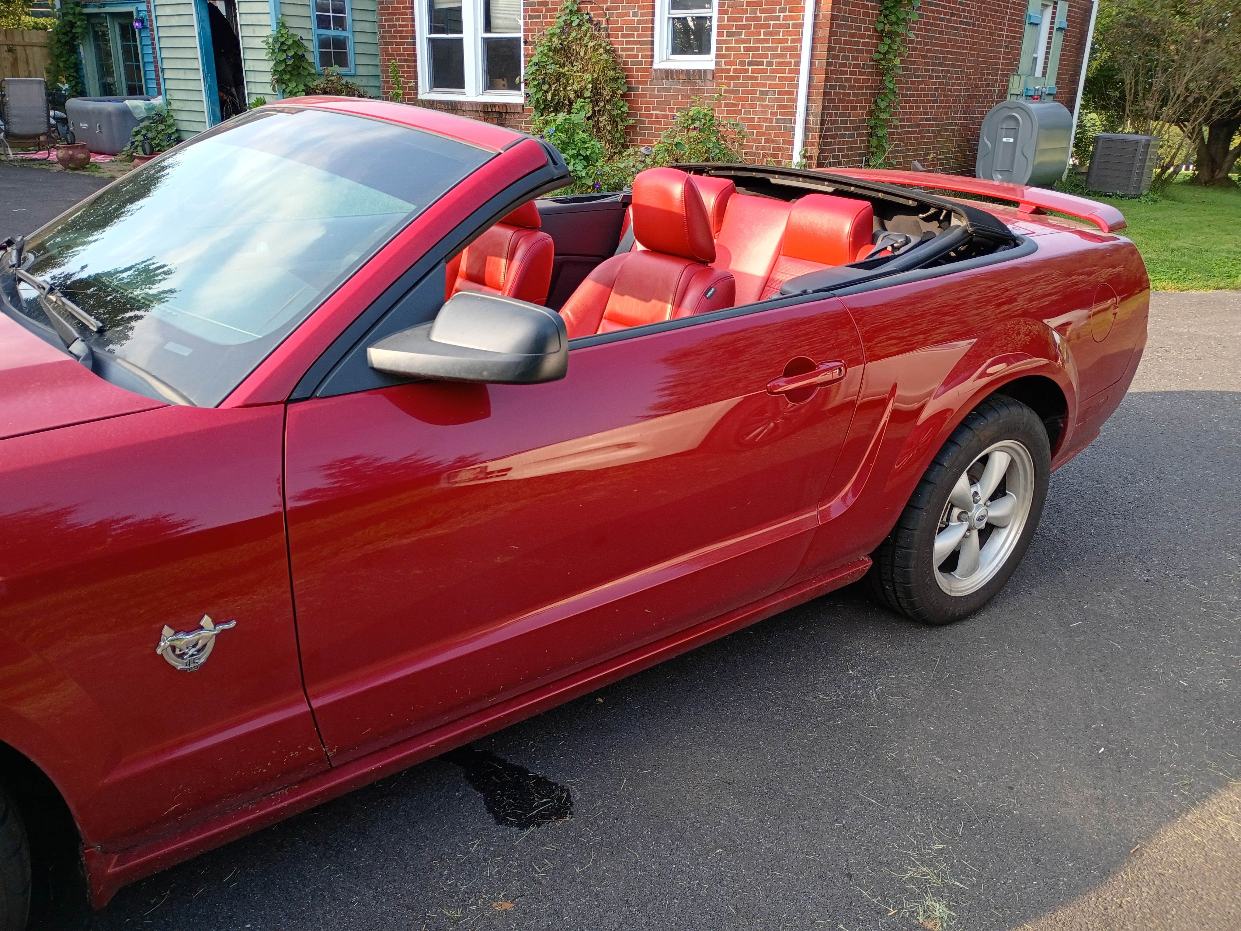 Used 2009 Ford Mustang GT Premium RWD image 10