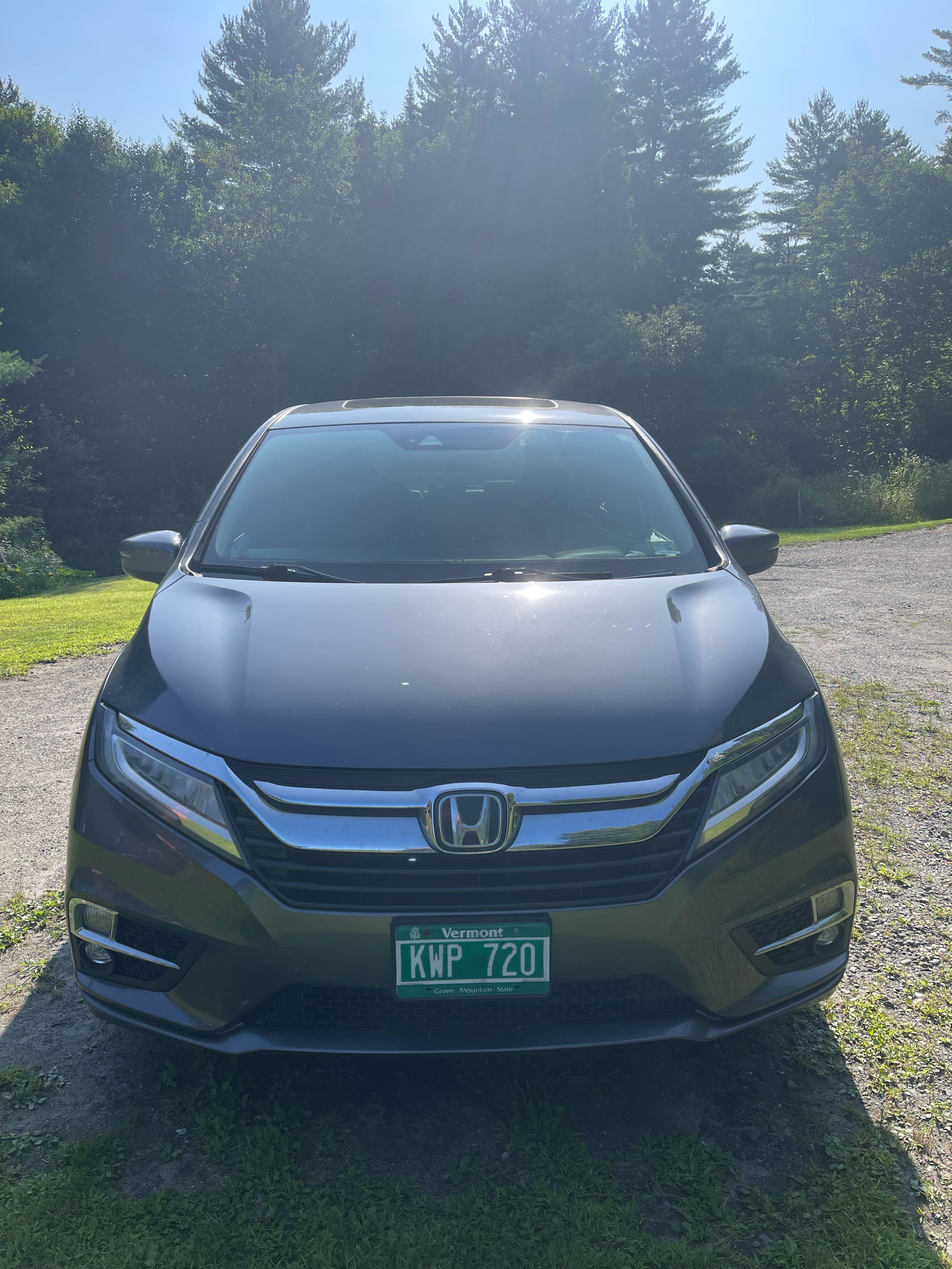 Used 2019 Honda Odyssey Elite image 1
