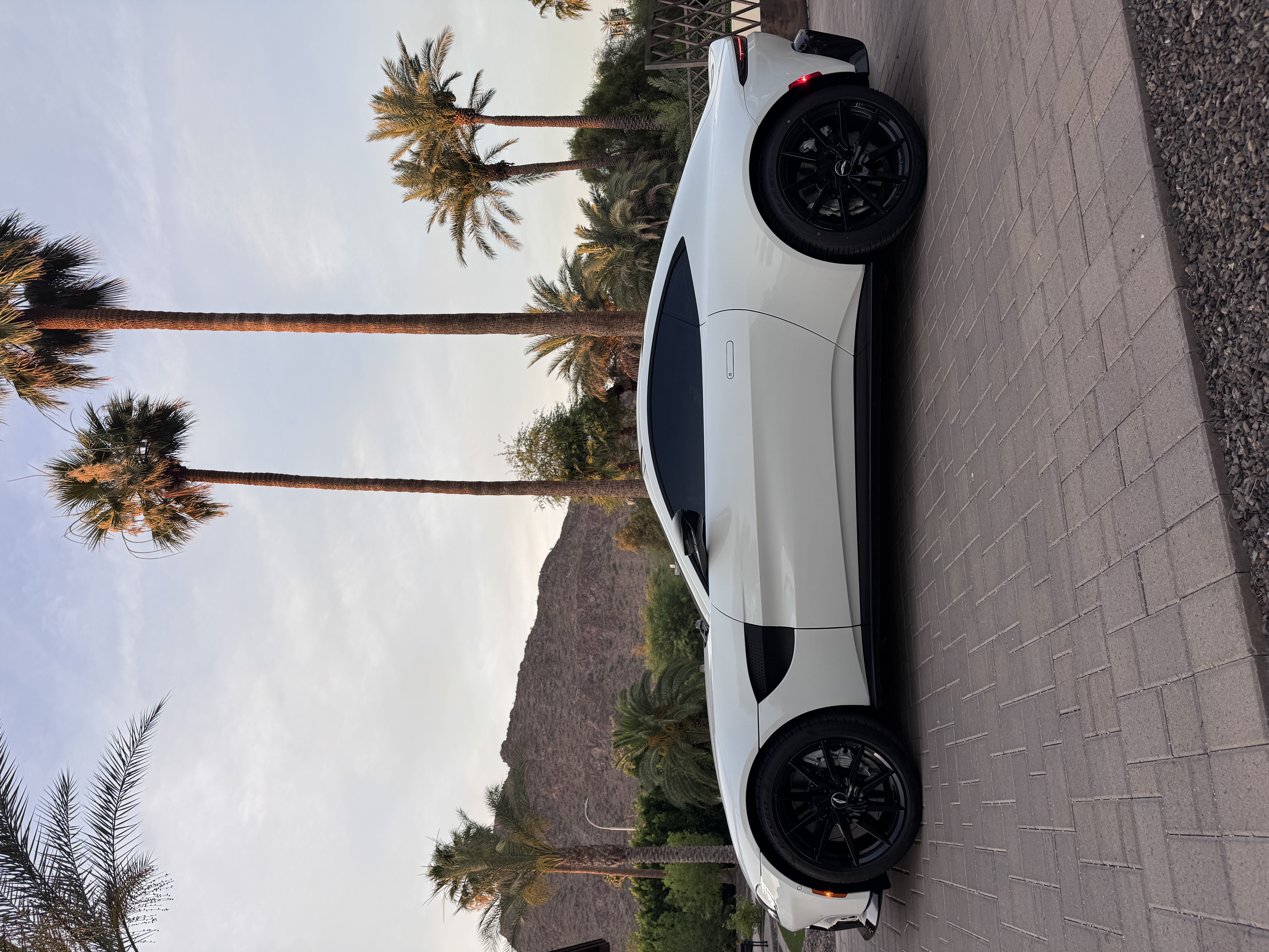 Used 2020 Aston Martin V8 Vantage Coupe RWD image 12