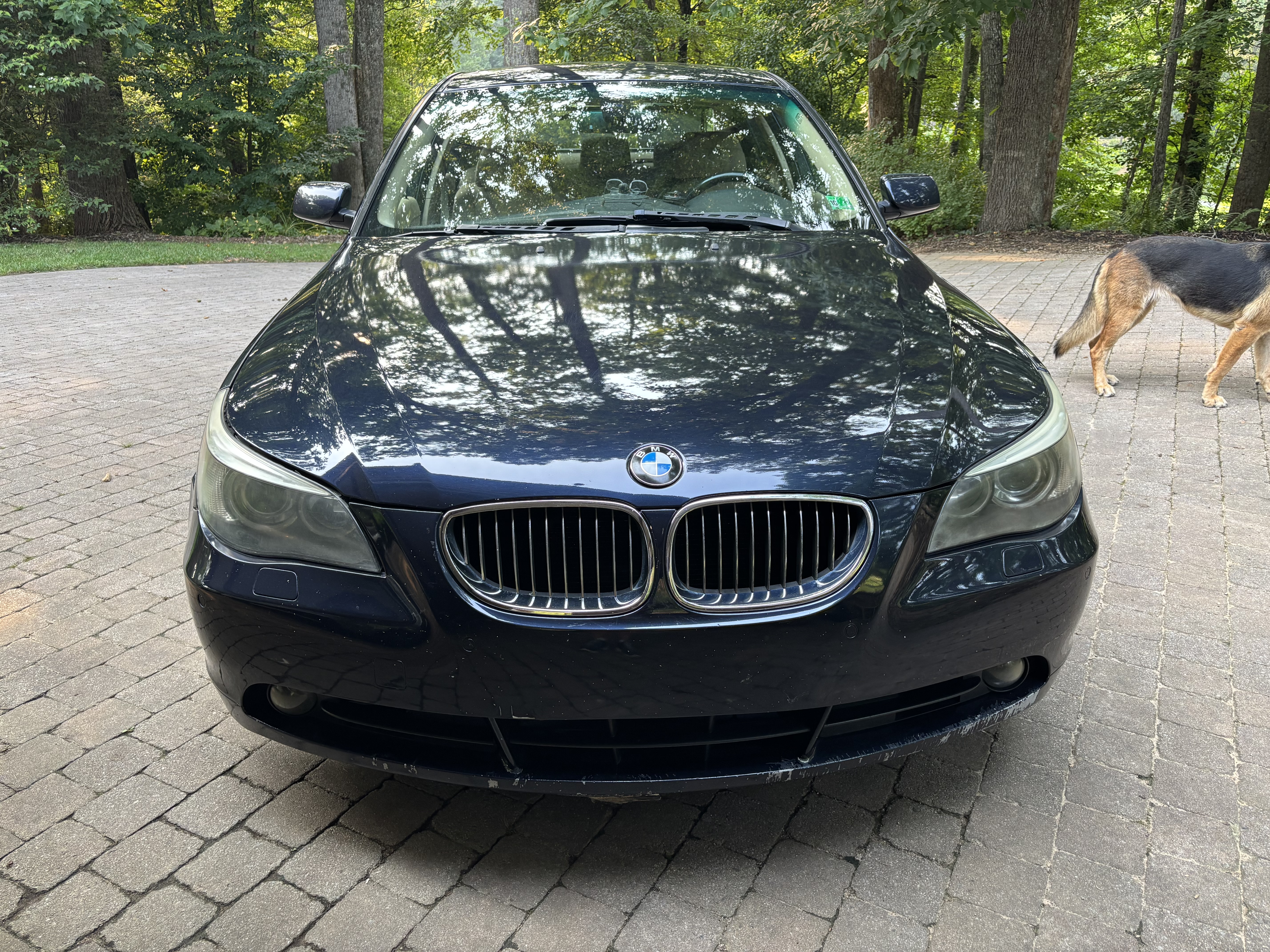 Used 2007 BMW 530i Sedan RWD image 4