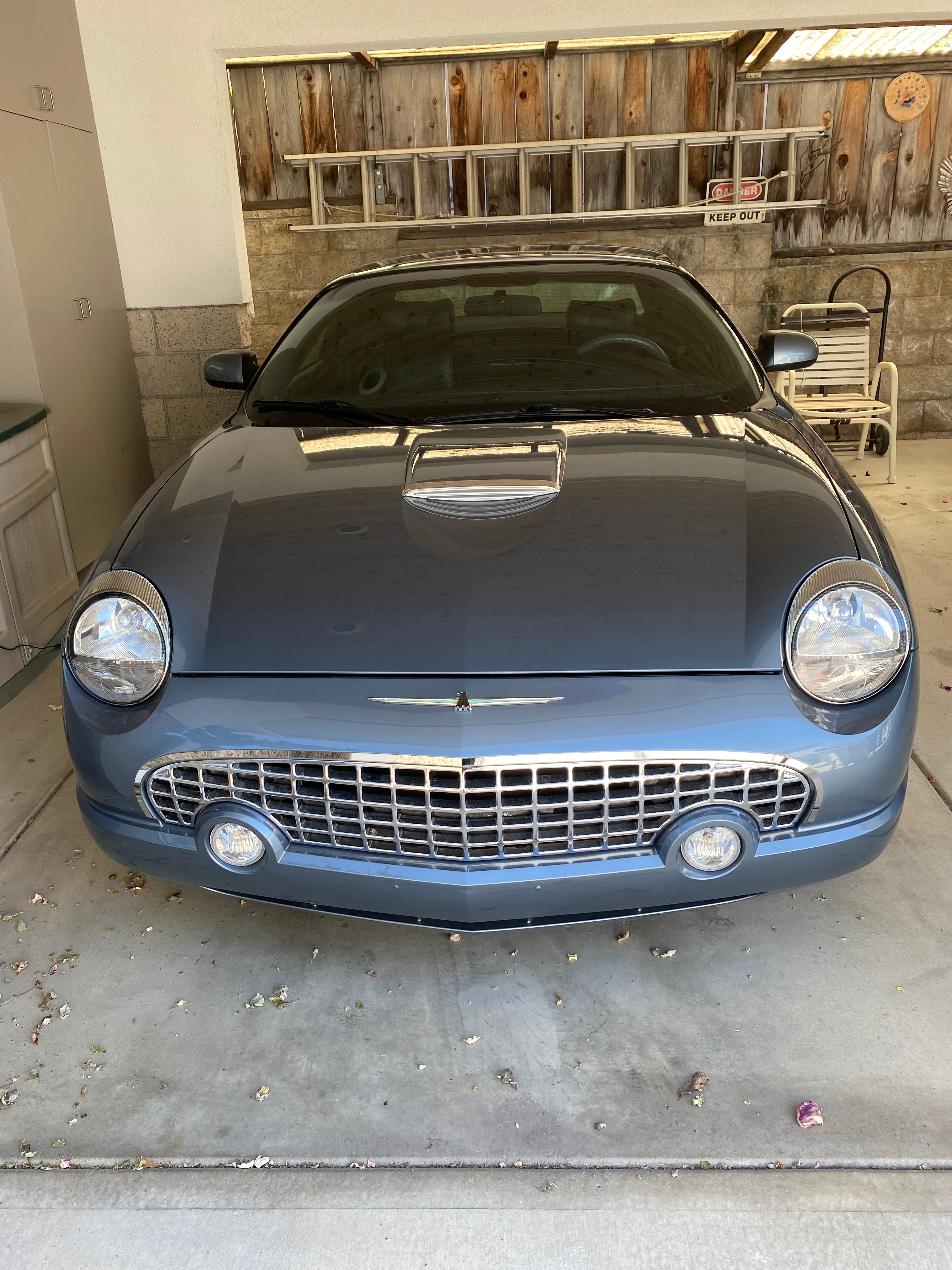Used 2005 Ford Thunderbird Deluxe RWD image 9