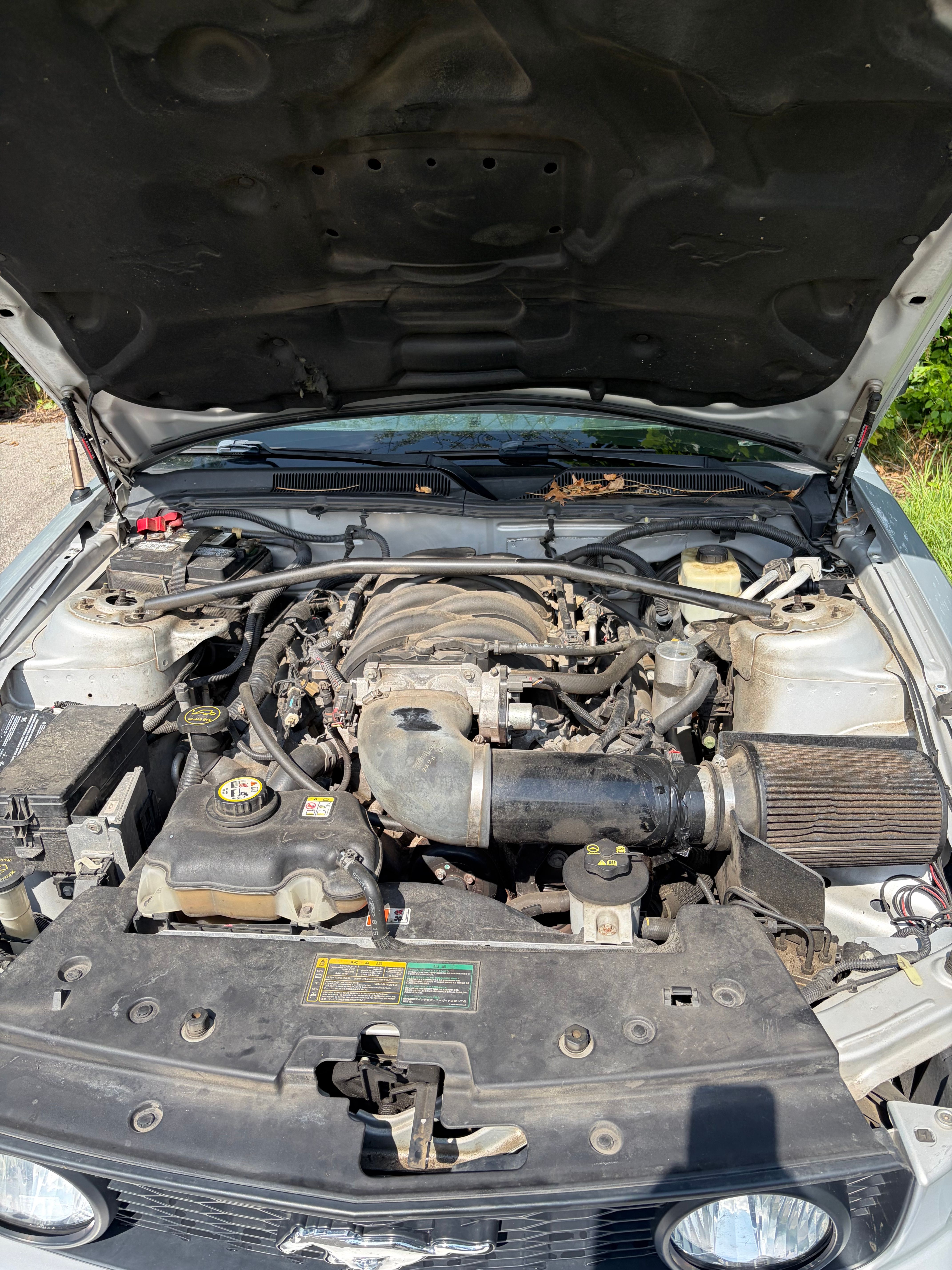 Used 2006 Ford Mustang GT RWD image 5