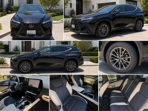 Used 2024 Lexus NX 350h AWD image 5