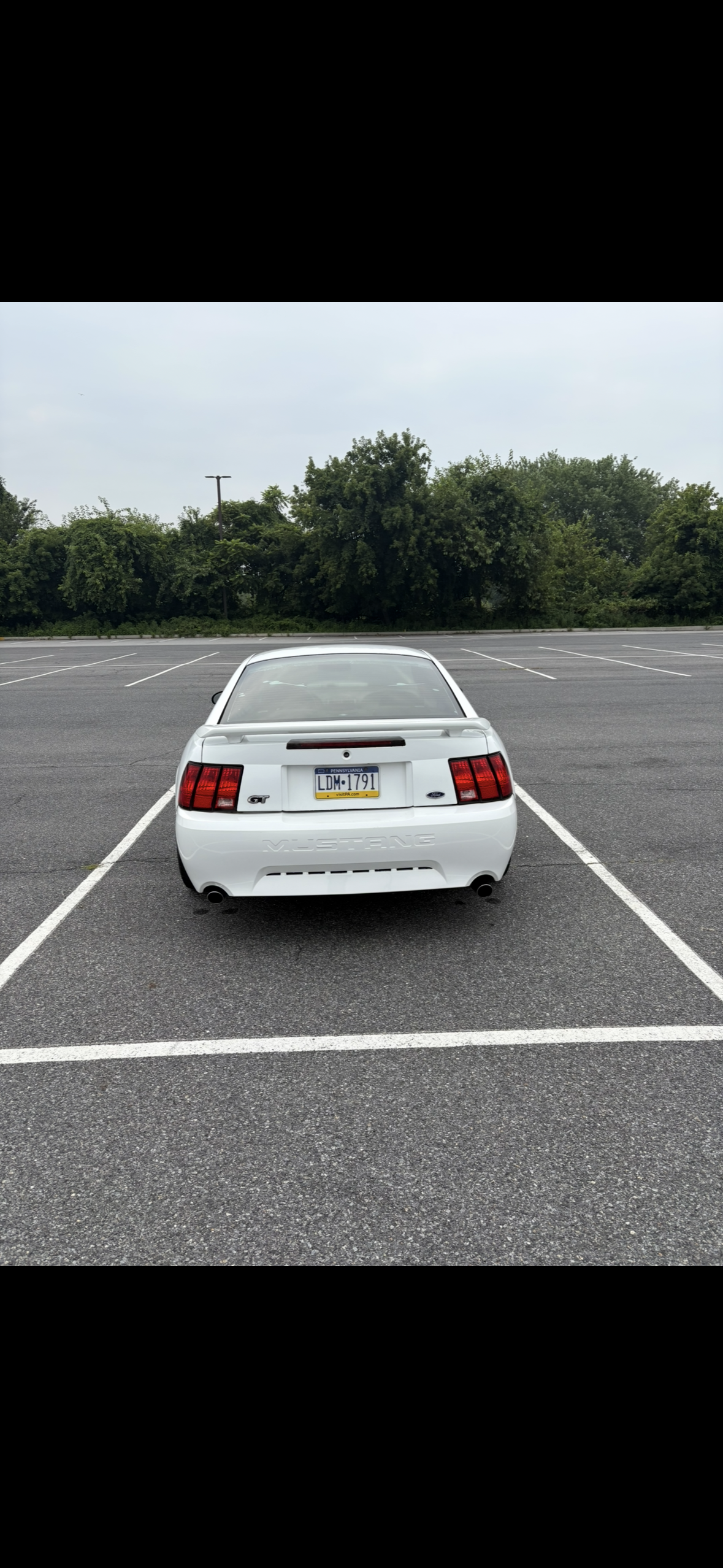 Used 2004 Ford Mustang GT Premium RWD image 8