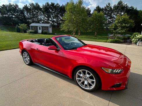 Used 2015 Ford Mustang Premium w/ 50 Years Appearance Package RWD image 8