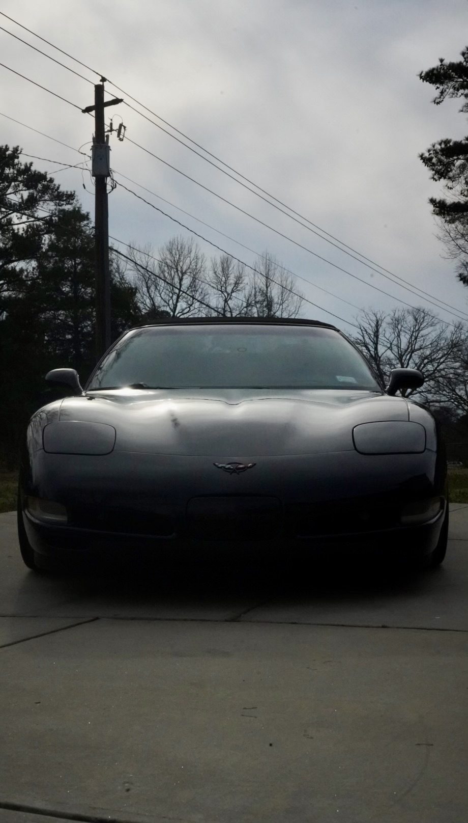Used 2000 Chevrolet Corvette Convertible w/ Memory Pkg RWD image 6