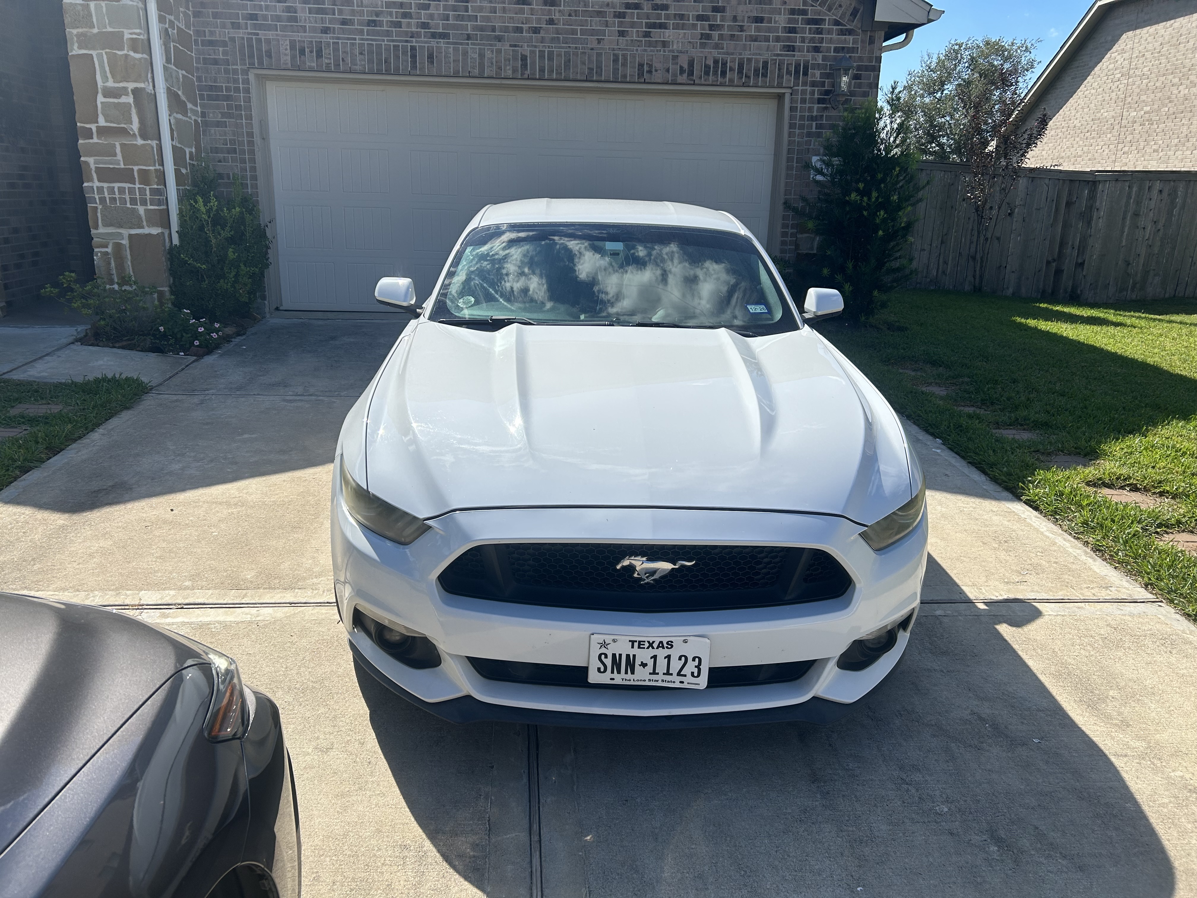 Used 2016 Ford Mustang Coupe w/ Equipment Group 051A RWD image 6