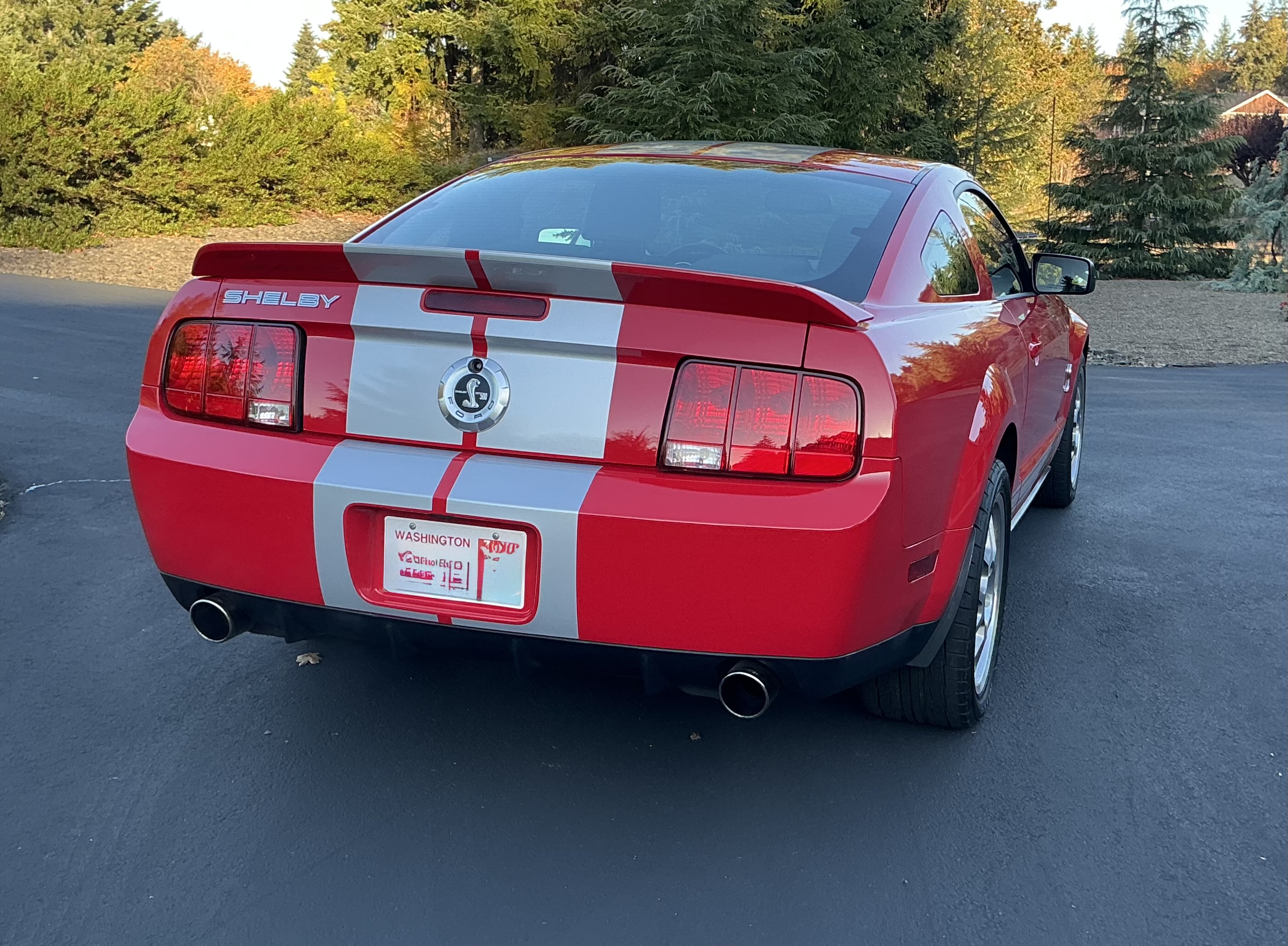 Used 2007 Ford Mustang Shelby GT500 RWD image 8