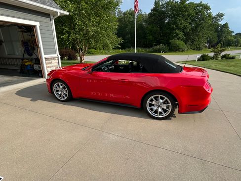 Used 2015 Ford Mustang Premium w/ 50 Years Appearance Package RWD image 4