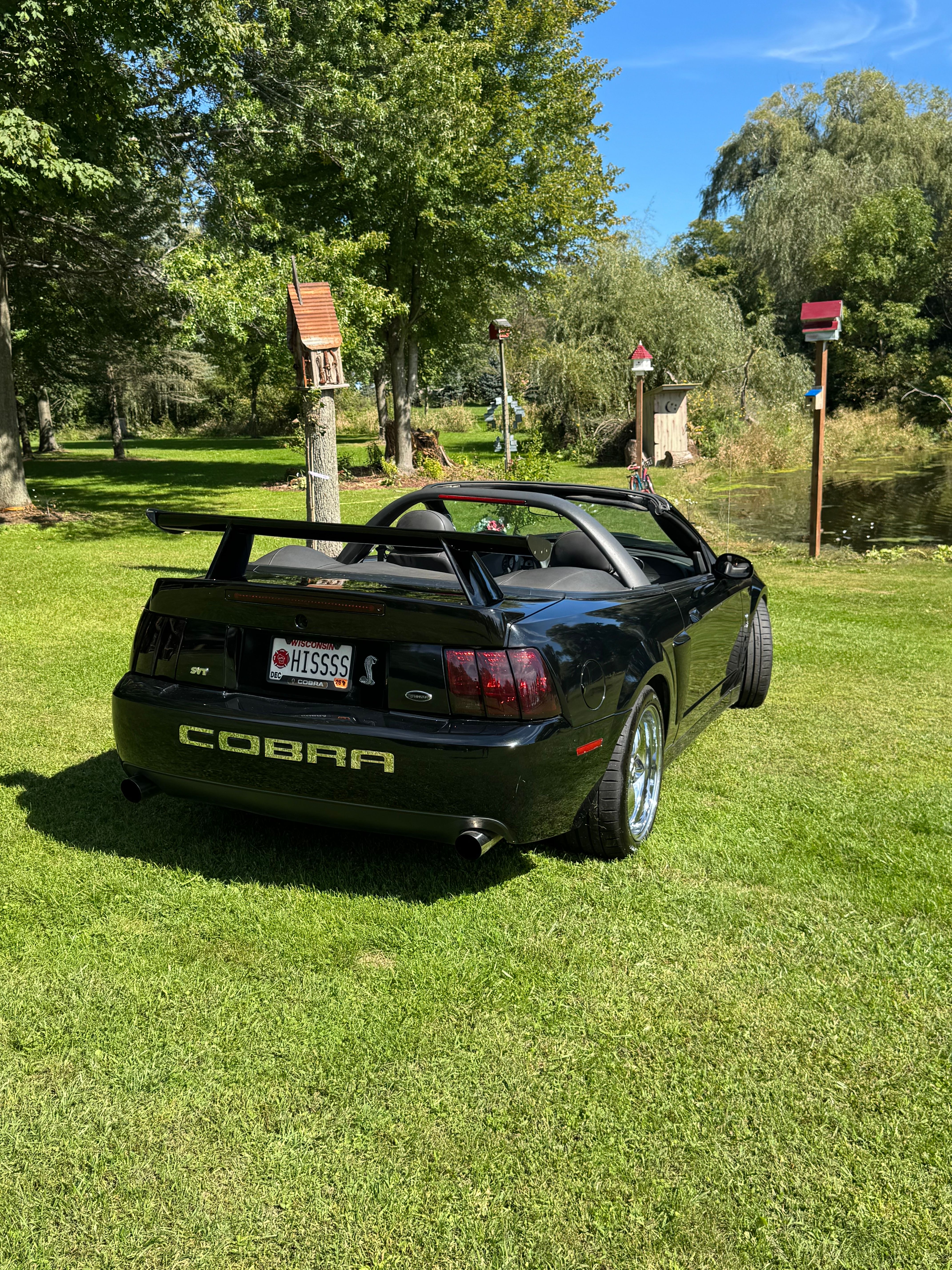 Used 2004 Ford Mustang Cobra RWD image 11