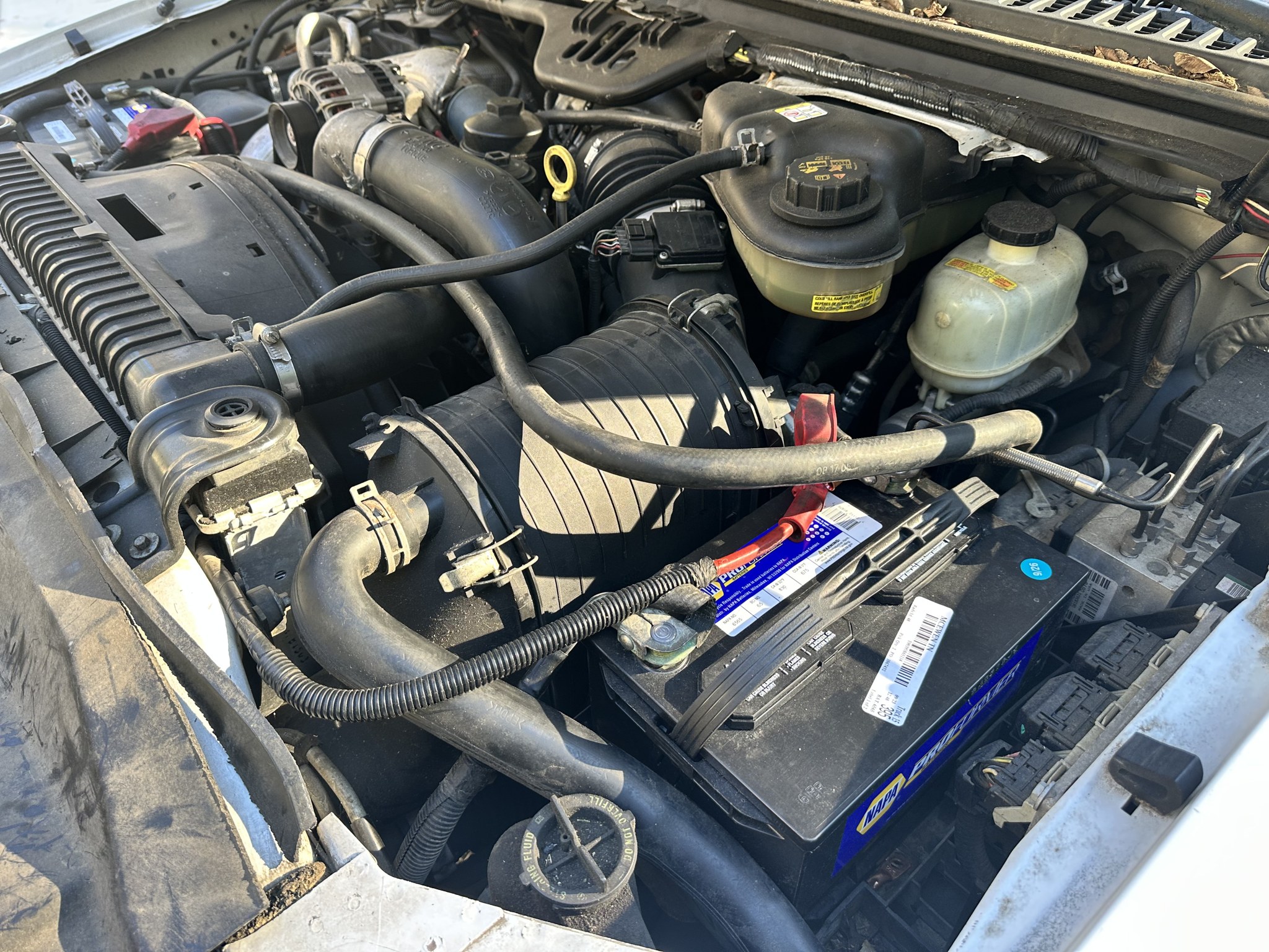 Used 2006 Ford F350 2WD Regular Cab DRW Super Duty image 18