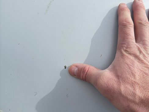 Used 2020 Polestar Polestar 1 Coupe 2D image 19