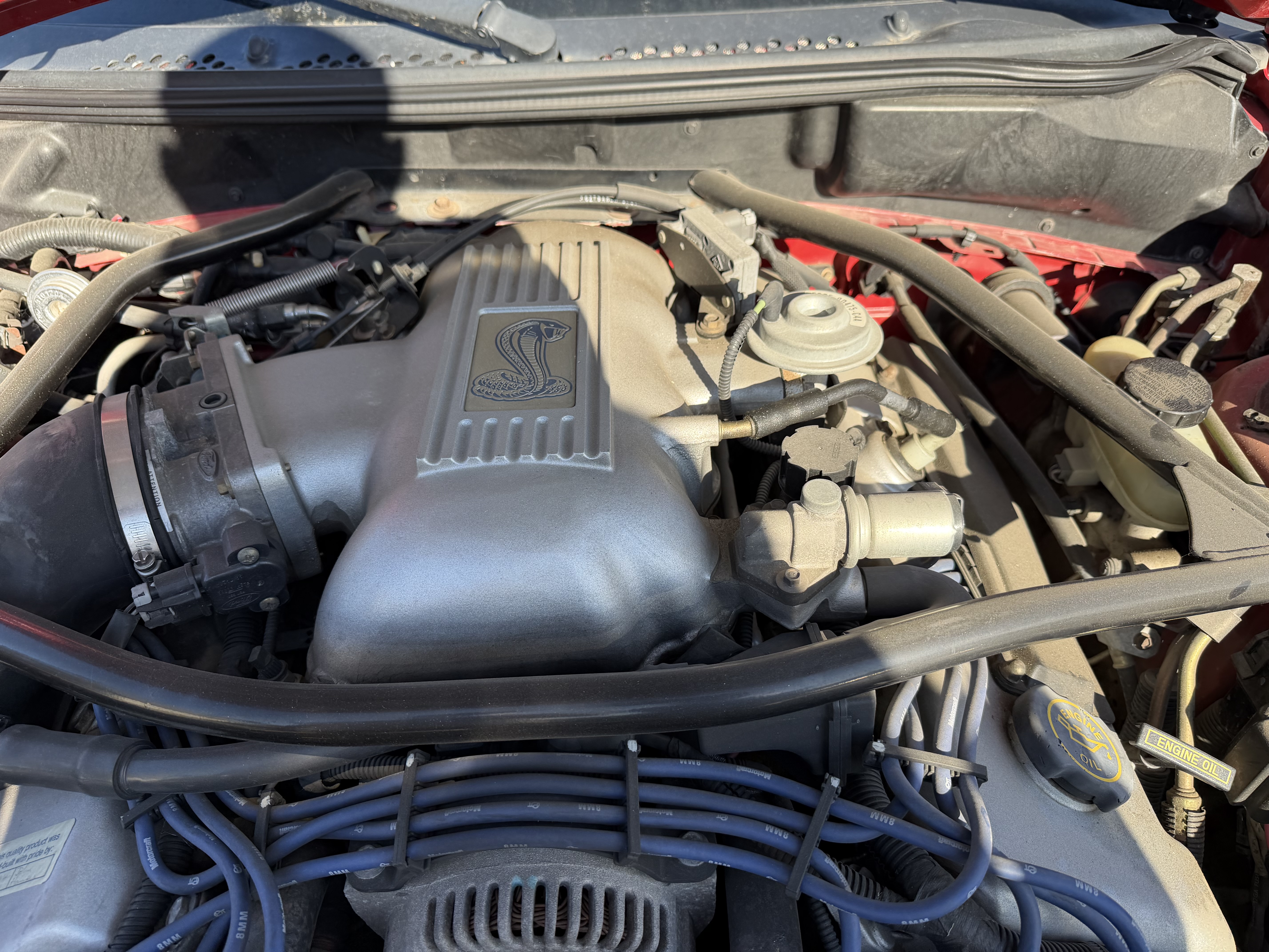 Used 1997 Ford Mustang Cobra RWD image 21
