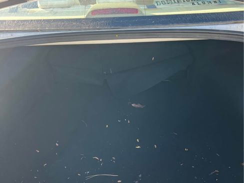 Used 2010 Hyundai Sonata GLS image 8