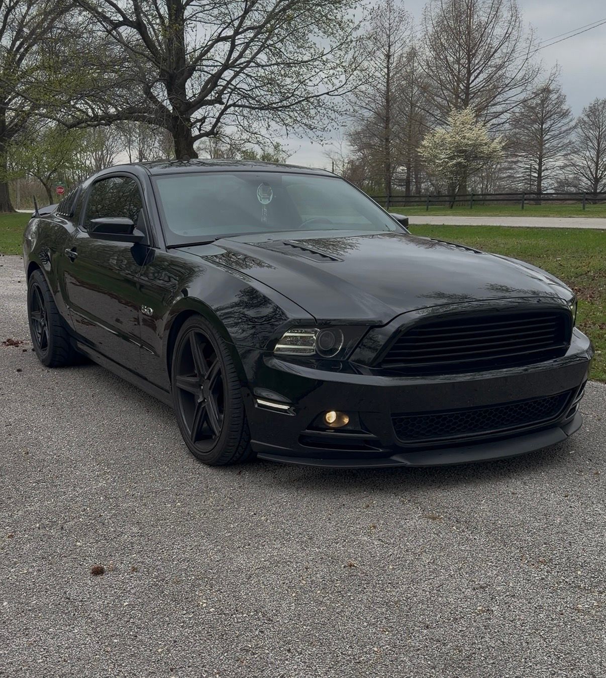 Used 2014 Ford Mustang GT Premium RWD image 2
