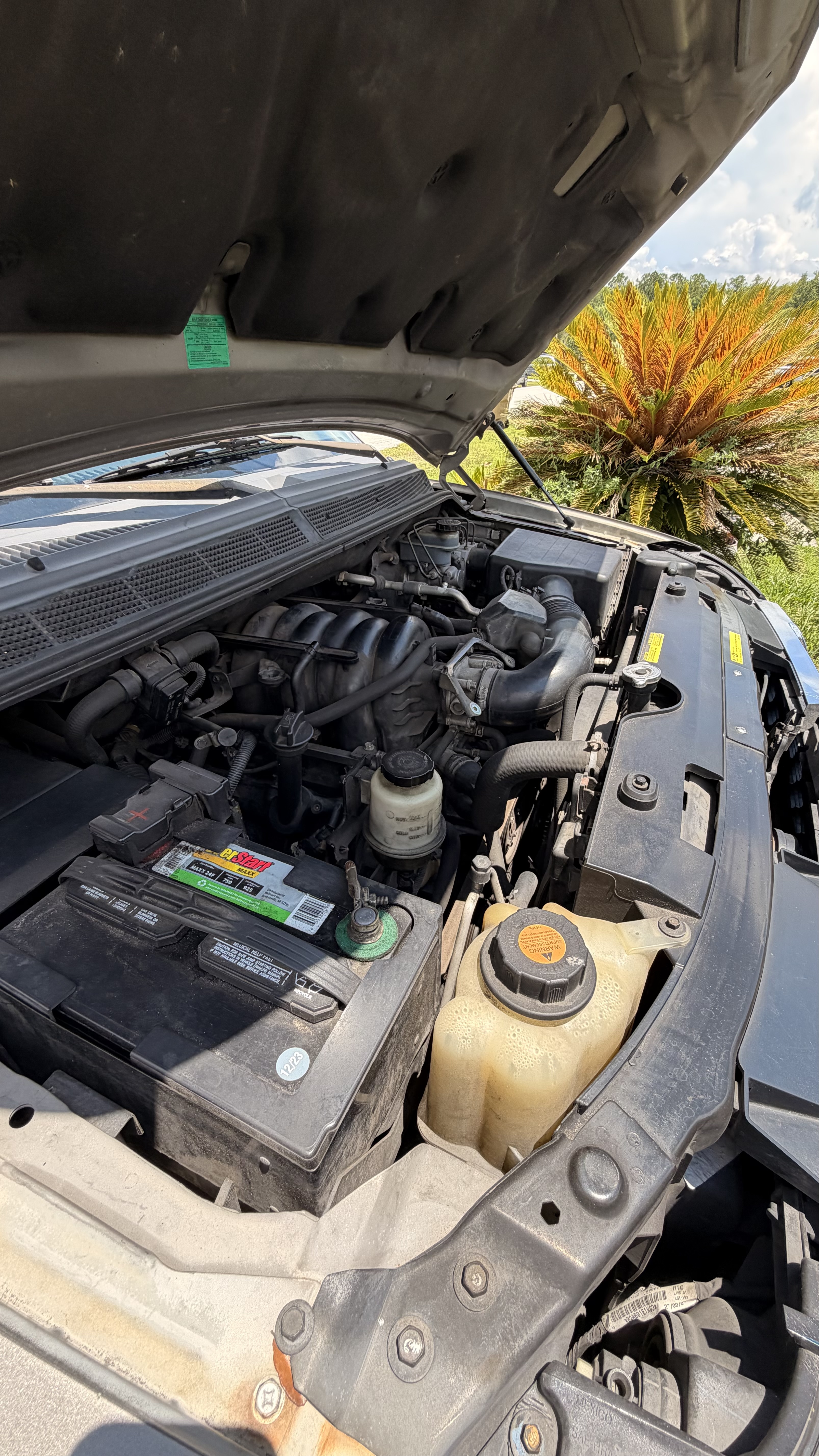 Used 2008 Nissan Titan SE RWD image 12