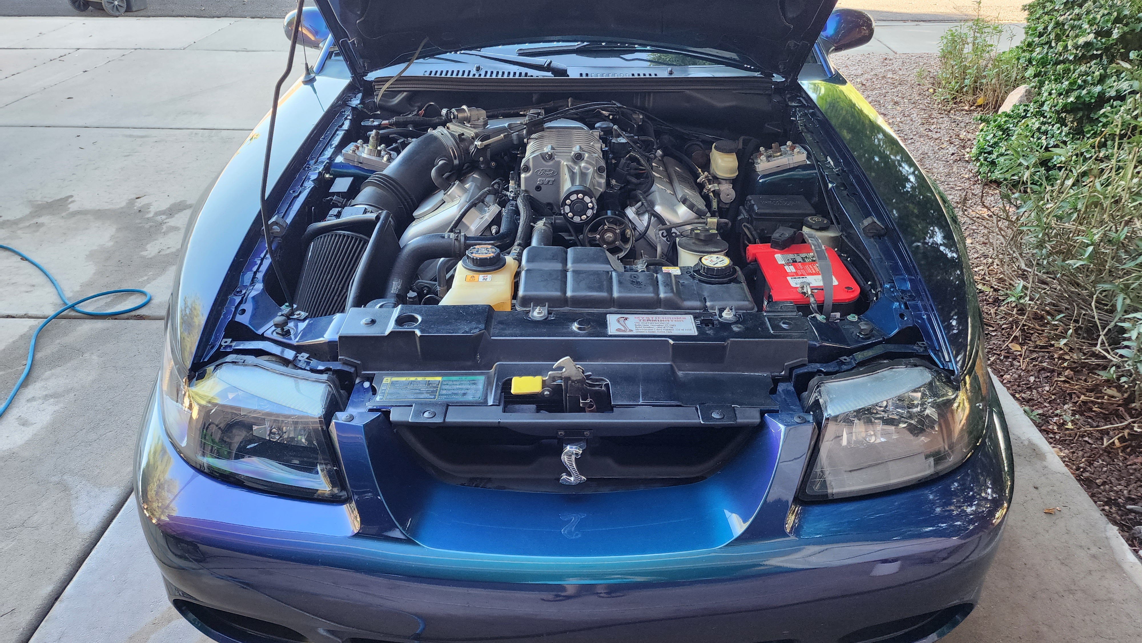 Used 2004 Ford Mustang Cobra RWD image 22