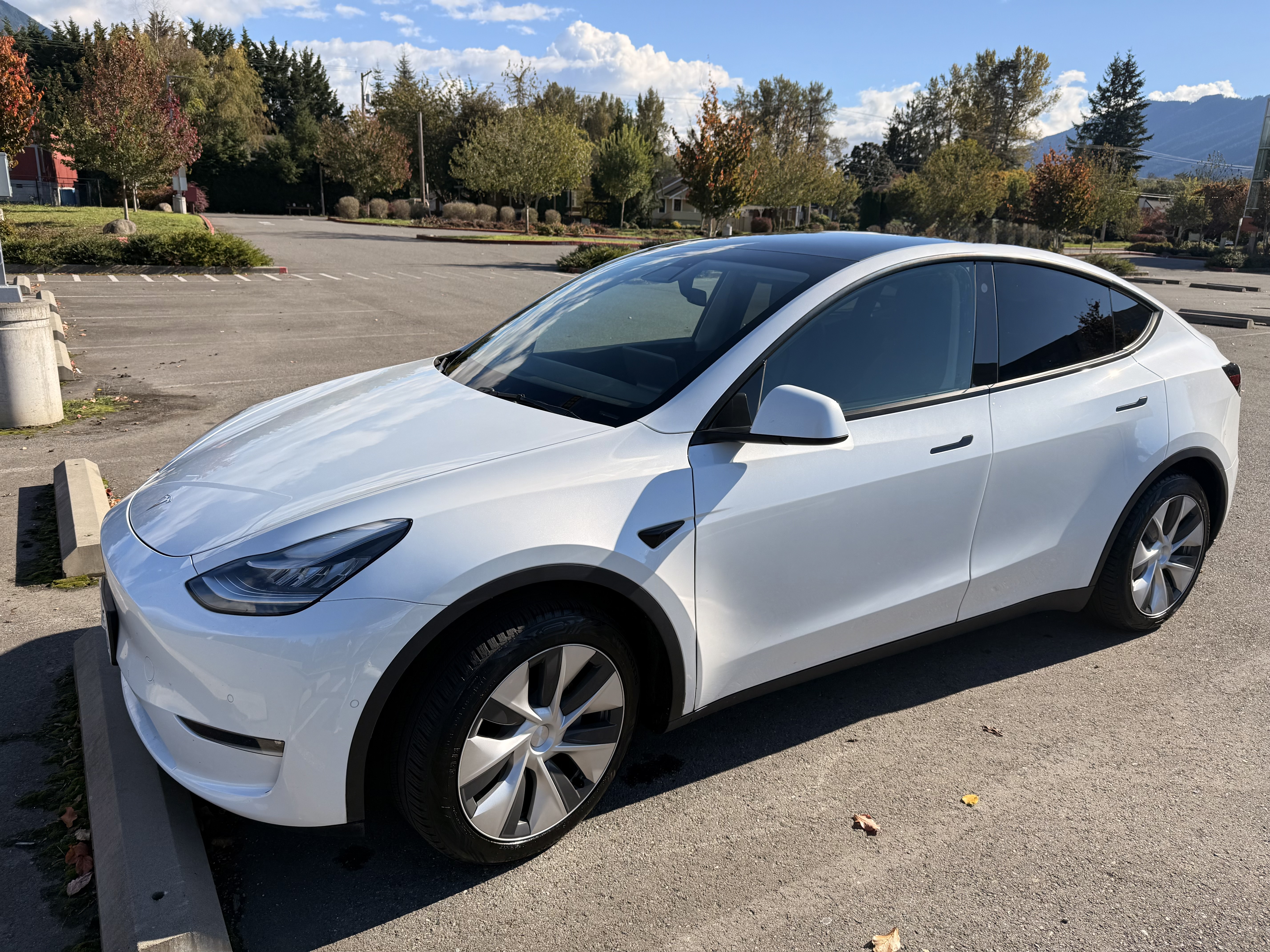 Used 2021 Tesla Model Y 2WD image 1