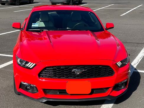 Used 2015 Ford Mustang Premium w/ Equipment Group 201A image 13