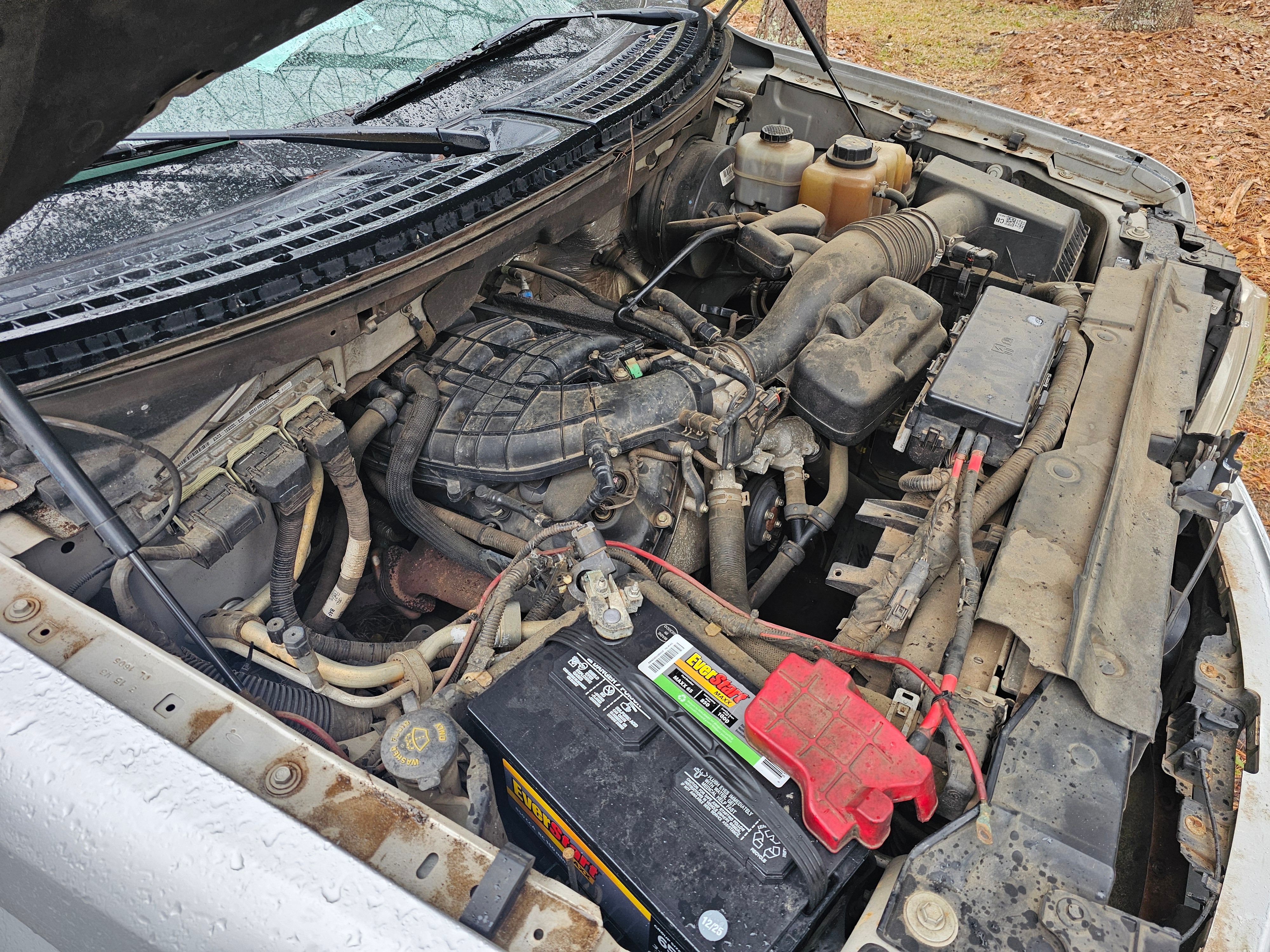 Used 2013 Ford F150 XLT RWD image 6