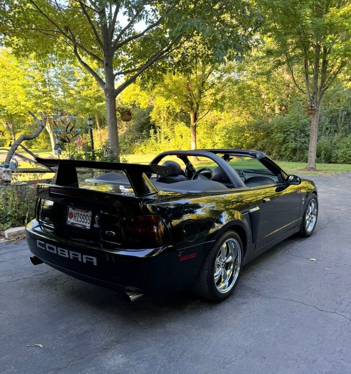 Used 2004 Ford Mustang Cobra RWD image 4