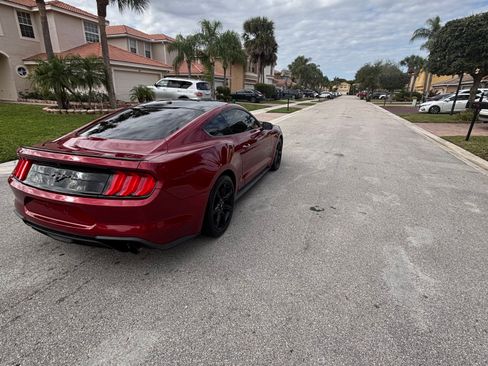 Used 2019 Ford Mustang EcoBoost Coupe 2D w/ Black Accent Package image 4