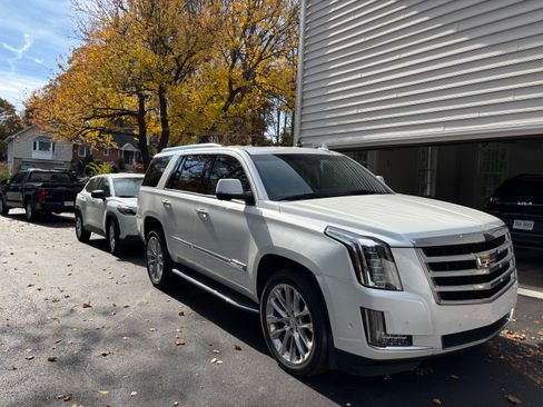 Used 2019 Cadillac Escalade Luxury image 12