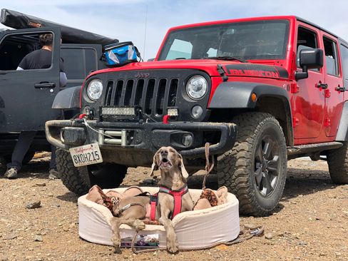 Used 2018 Jeep Wrangler Unlimited Rubicon image 6