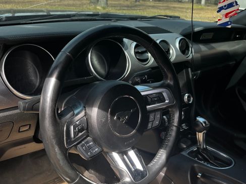 Used 2019 Ford Mustang GT w/ Equipment Group 301A image 5