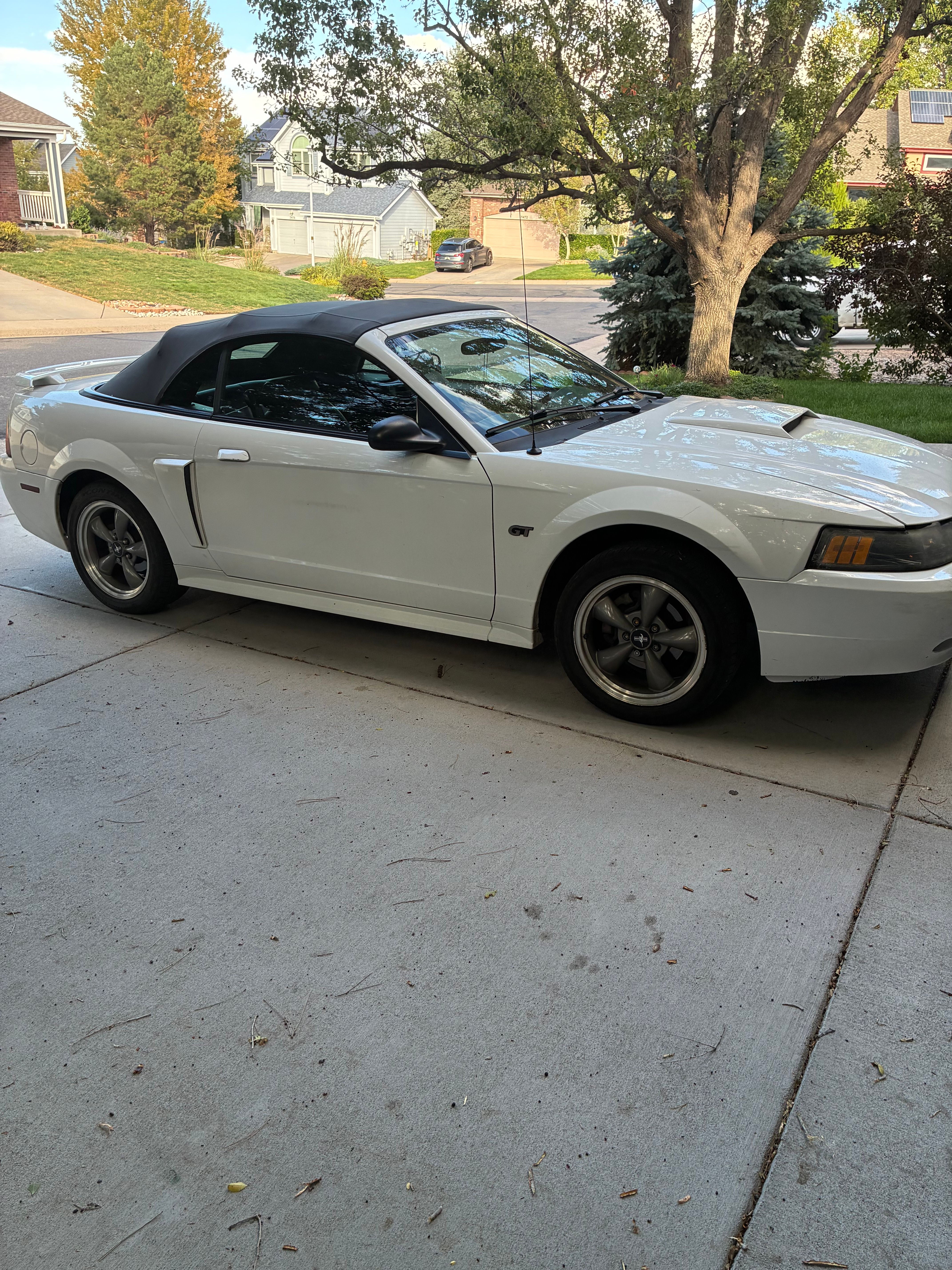 Used 2002 Ford Mustang GT Premium RWD image 3