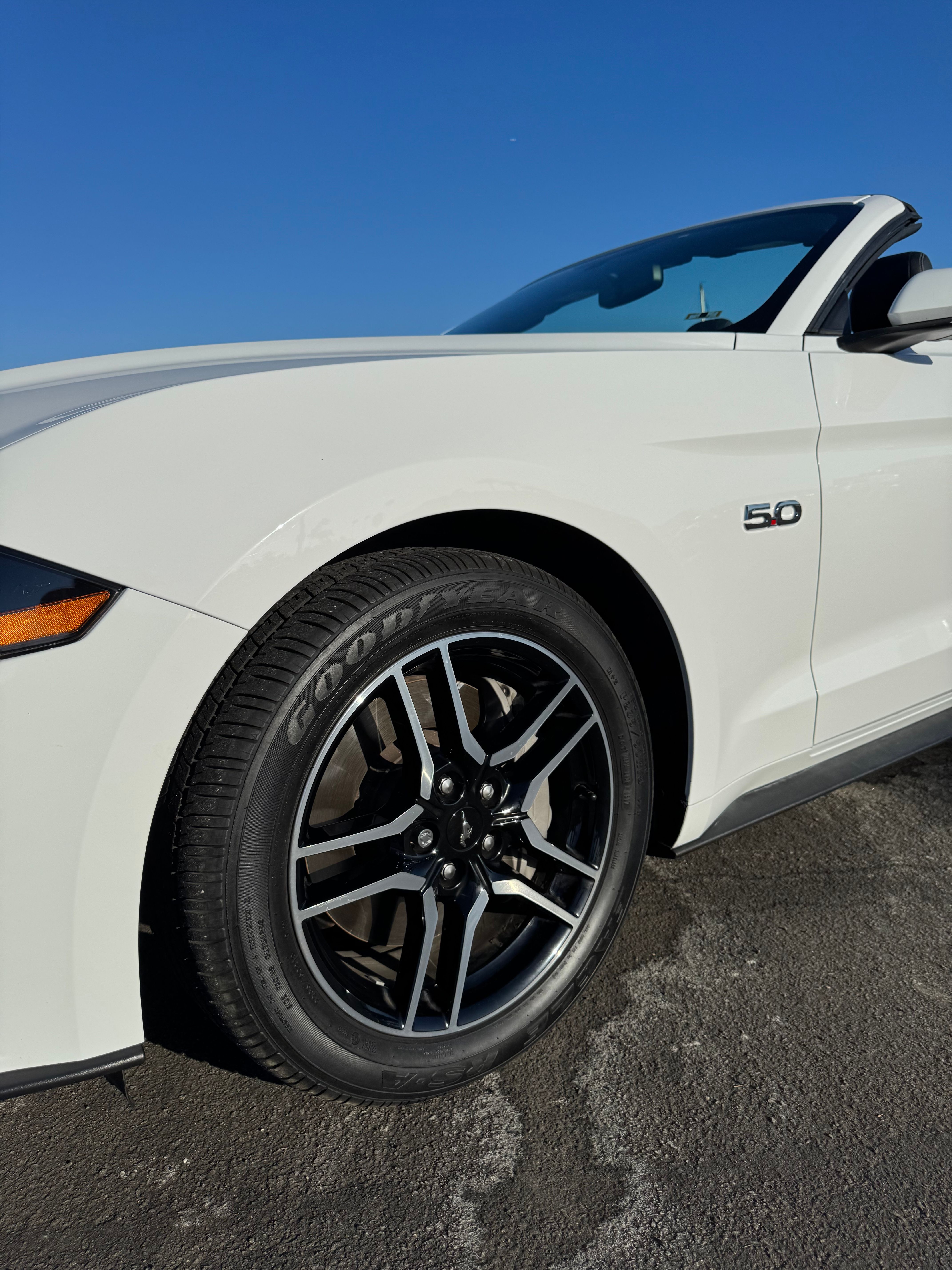 Used 2019 Ford Mustang GT Premium RWD image 16
