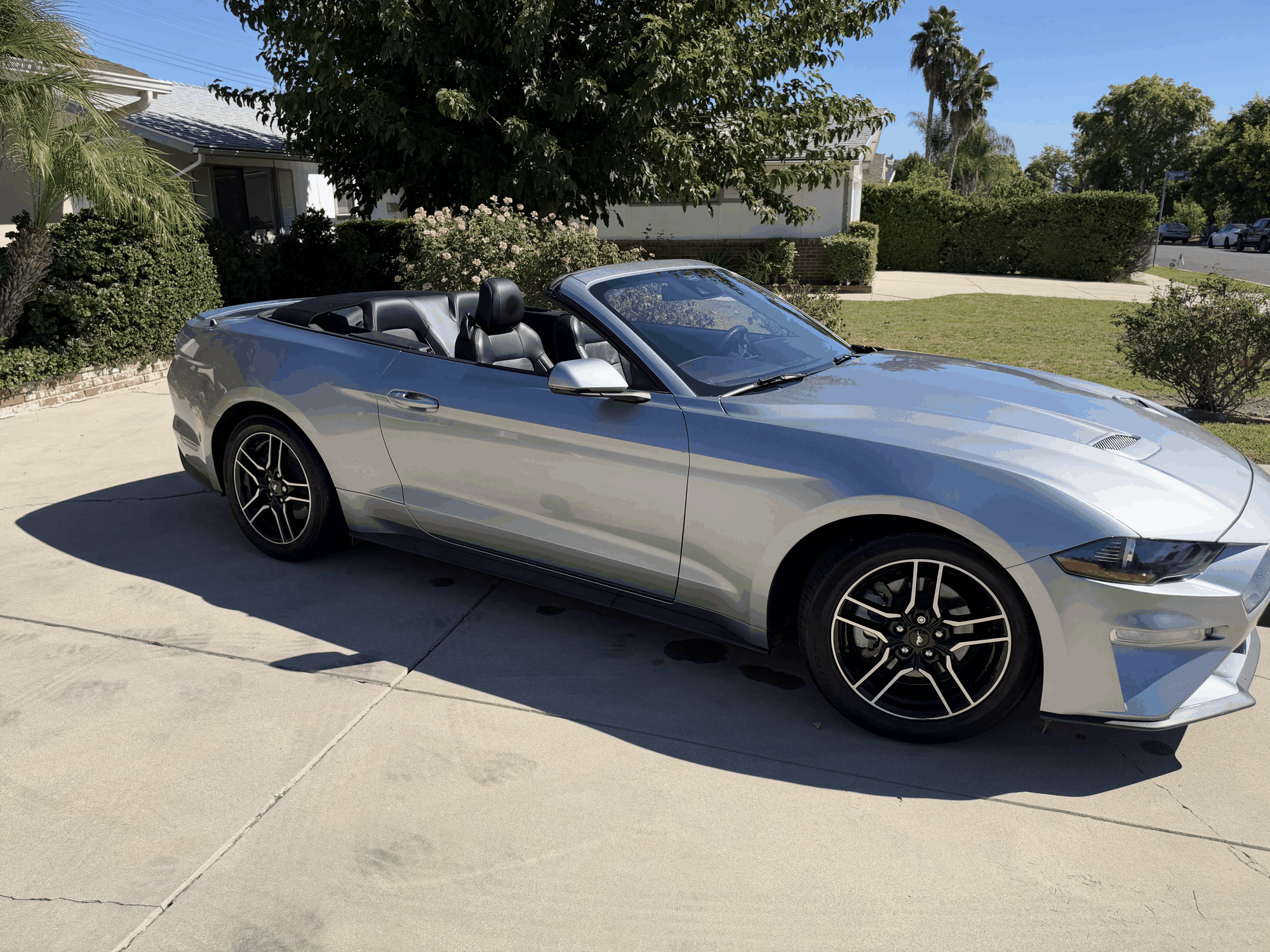 Used 2023 Ford Mustang Premium w/ Equipment Group 201A RWD image 1
