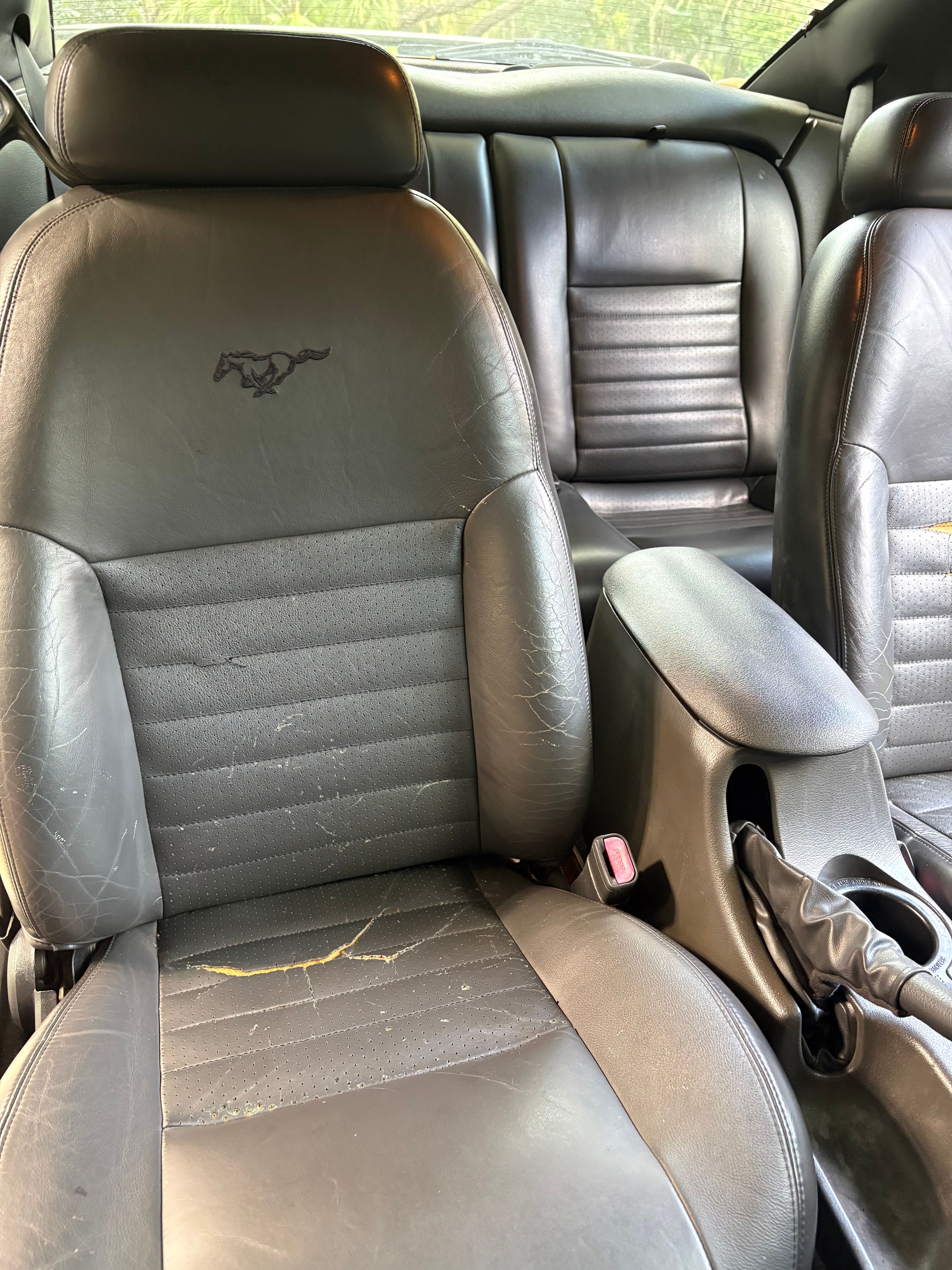 Used 2002 Ford Mustang GT Premium RWD image 10