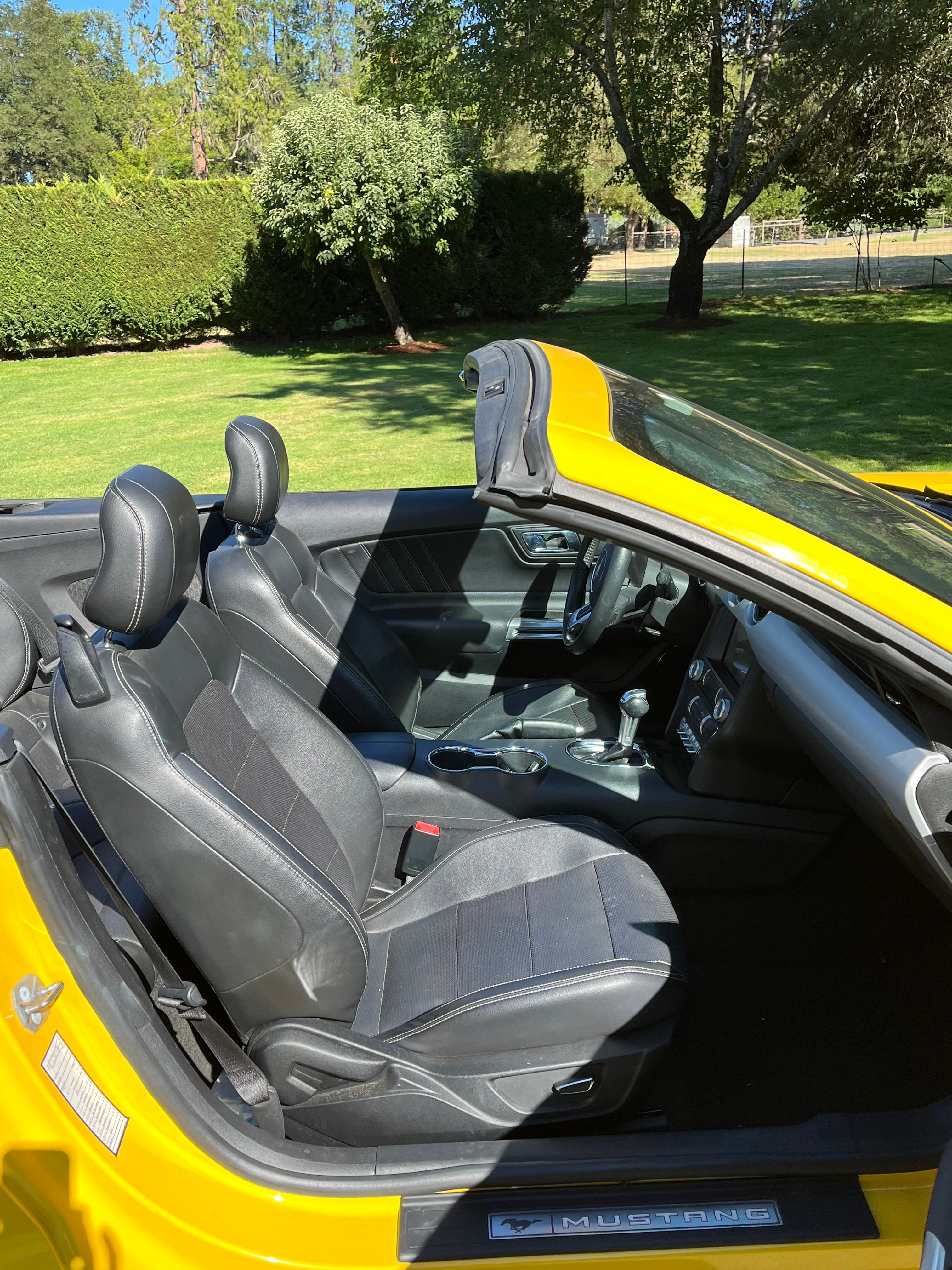 Used 2017 Ford Mustang Premium RWD image 4