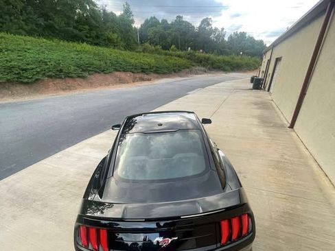 Used 2019 Ford Mustang Premium w/ Ecoboost Performance Package image 8