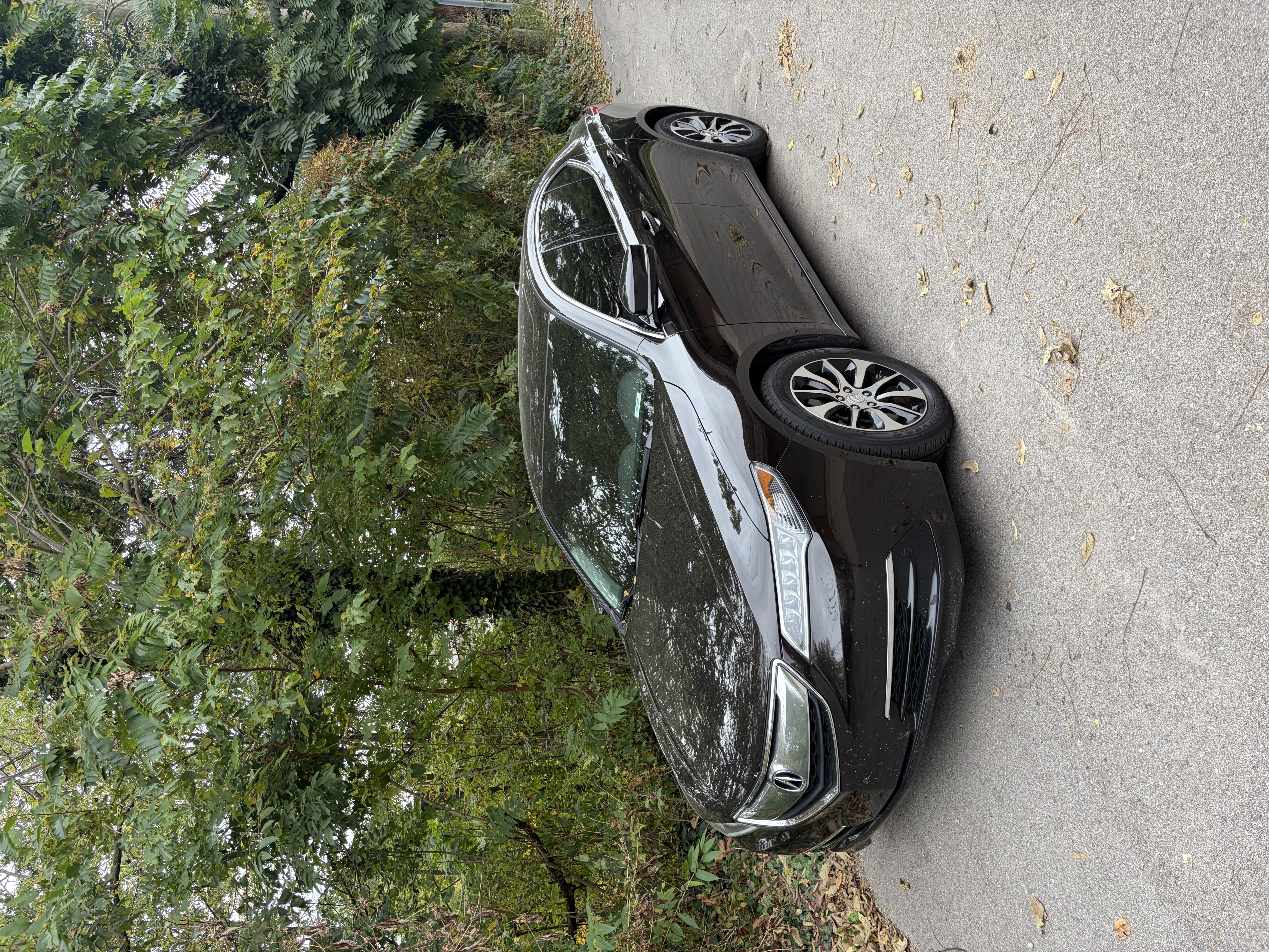 Used 2015 Acura TLX w/ Technology Package FWD image 1